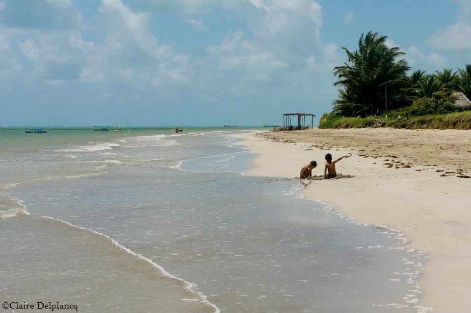 1465175_10152059762170090_682243812_n