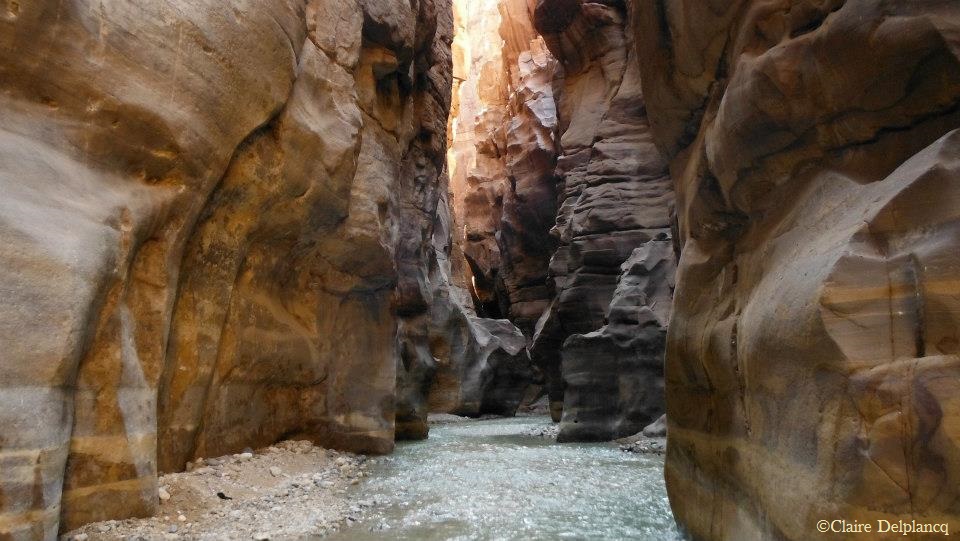 254679_10151263498725090_1053410071_n