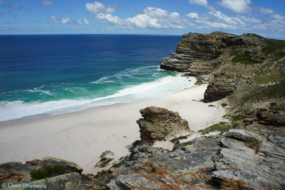 313613_10150439279595090_402352239_n