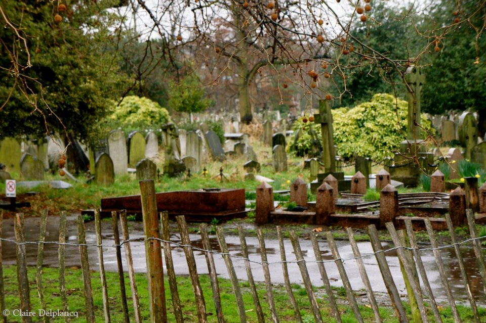 423199_10150704515490090_812589600_n