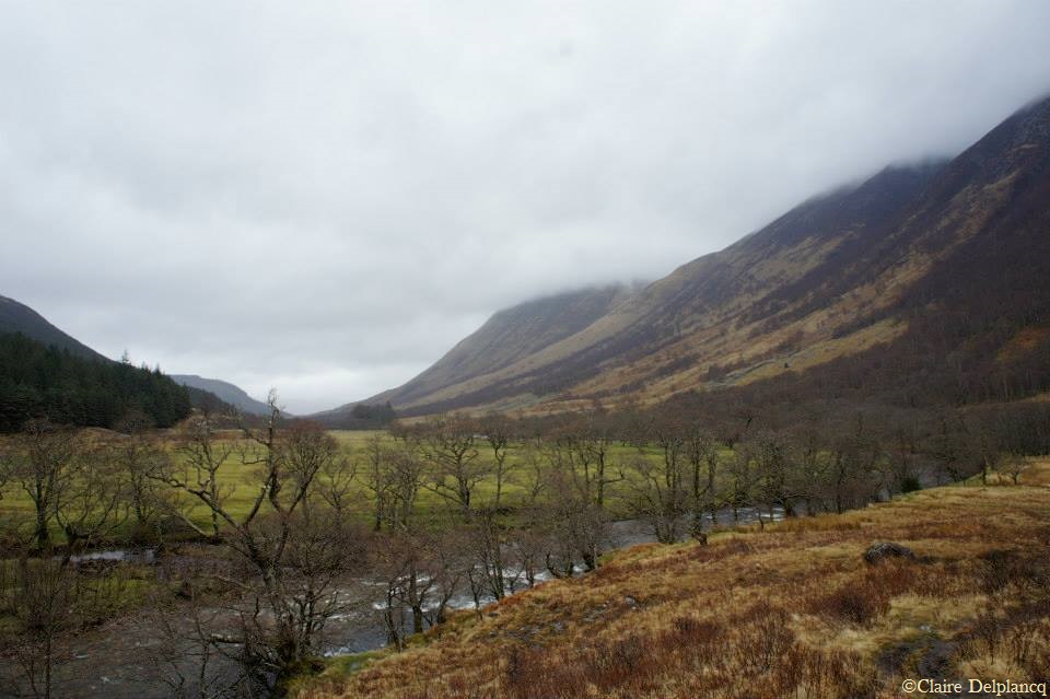 575824_10151643605475090_2128731419_n