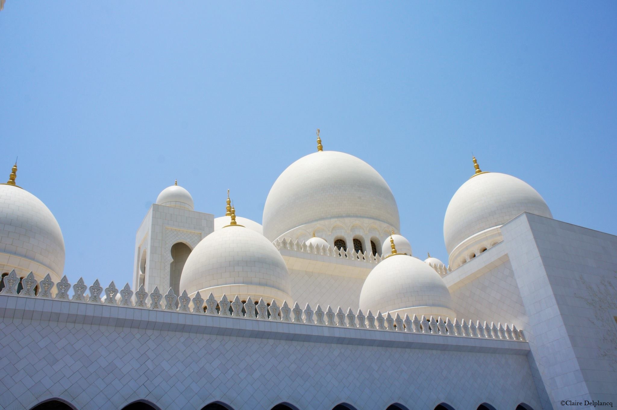 10293608_10152446487570090_5508485346734091098_o