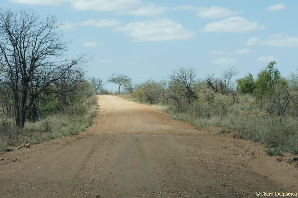 307162_10150439238890090_1289800932_n