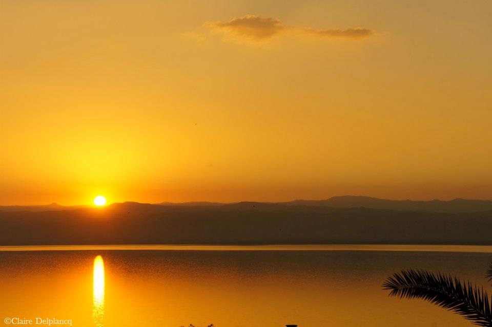 385027_10151263493535090_990998602_n