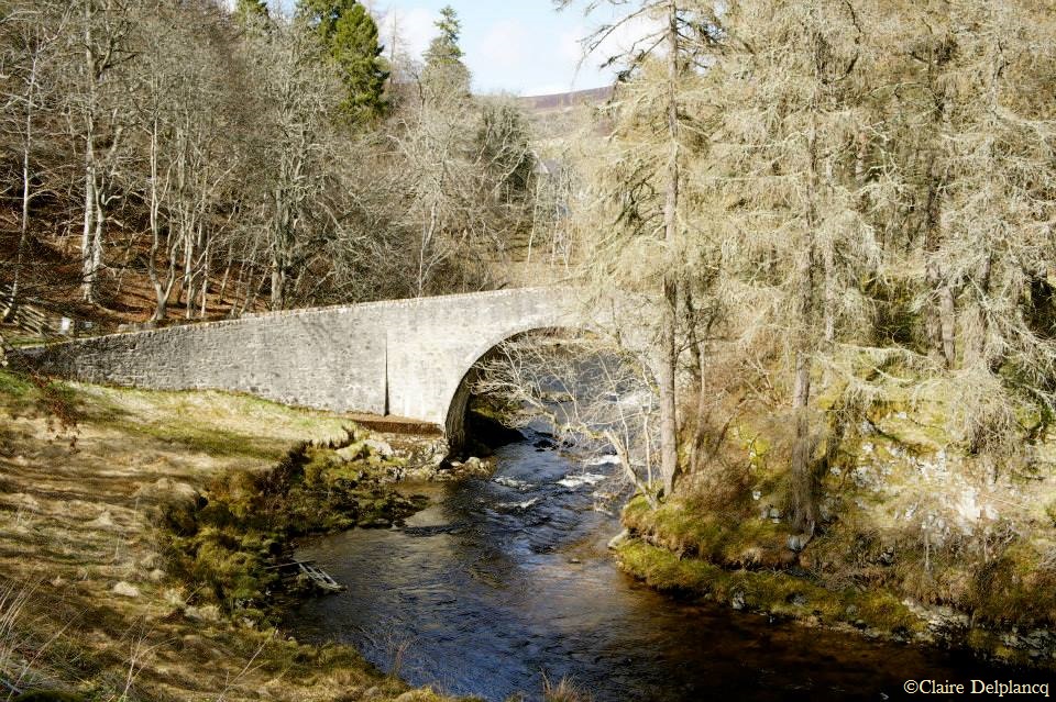 417885_10151643599750090_87403569_n