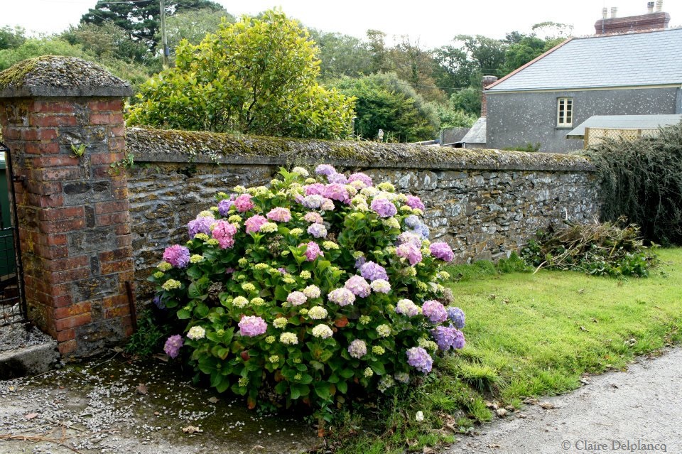 488392_10151141082680090_1130237674_n