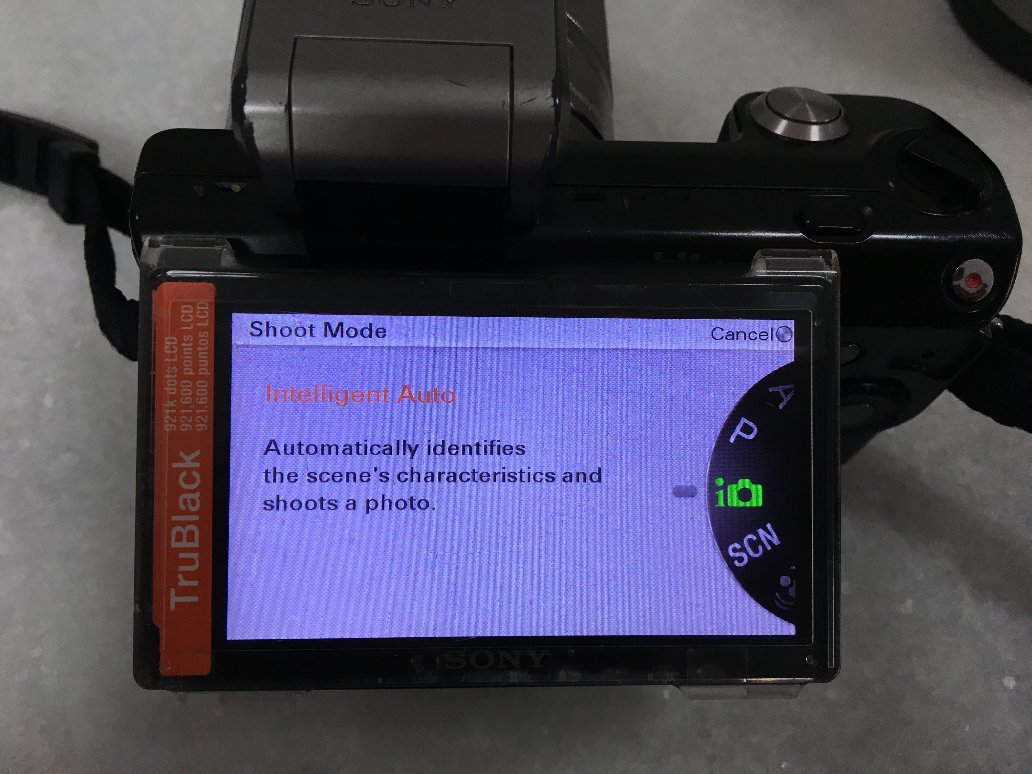 Sony Nex 5 Intelligent Auto mode