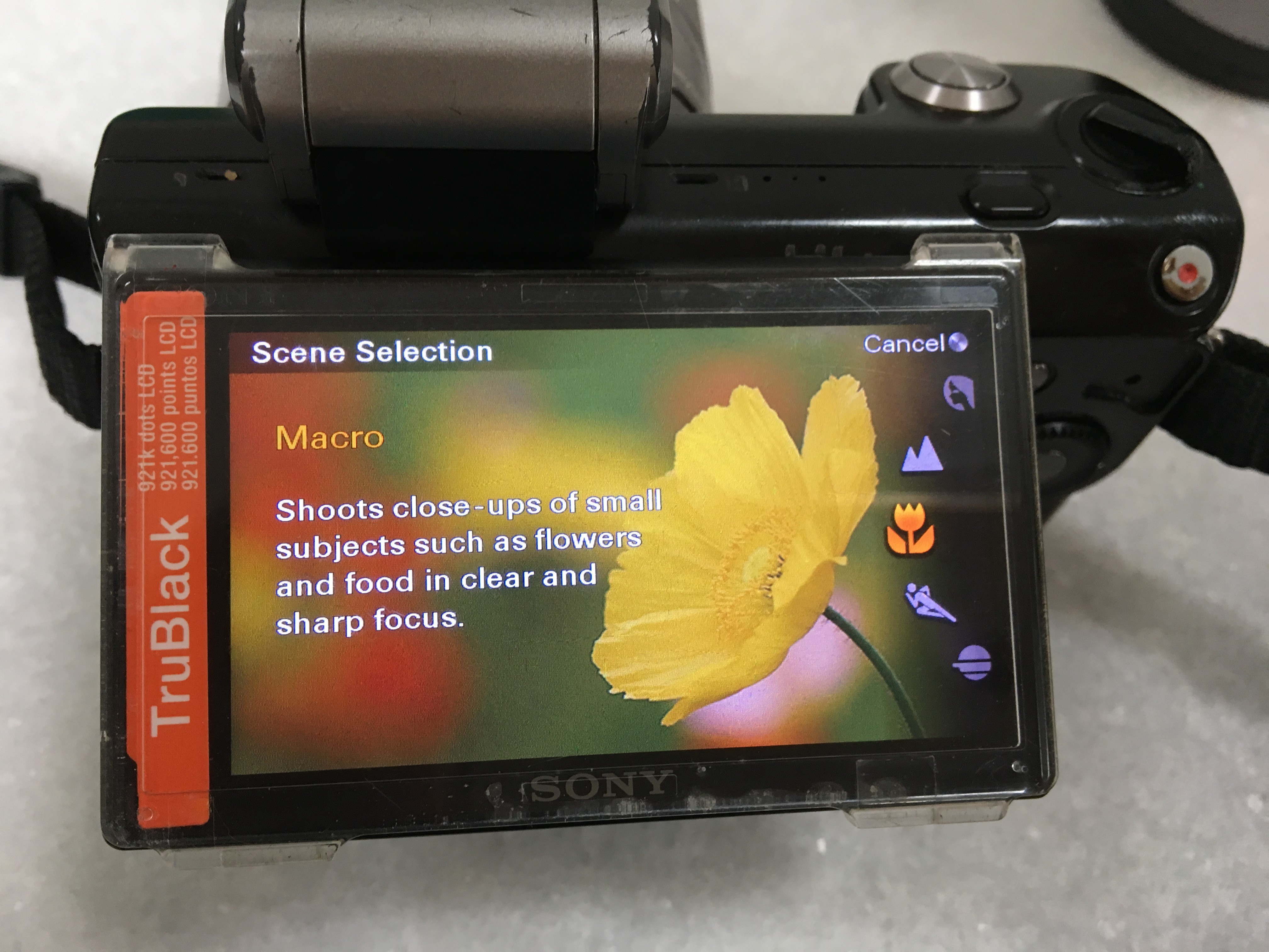 Sony Nex 5 Macro mode