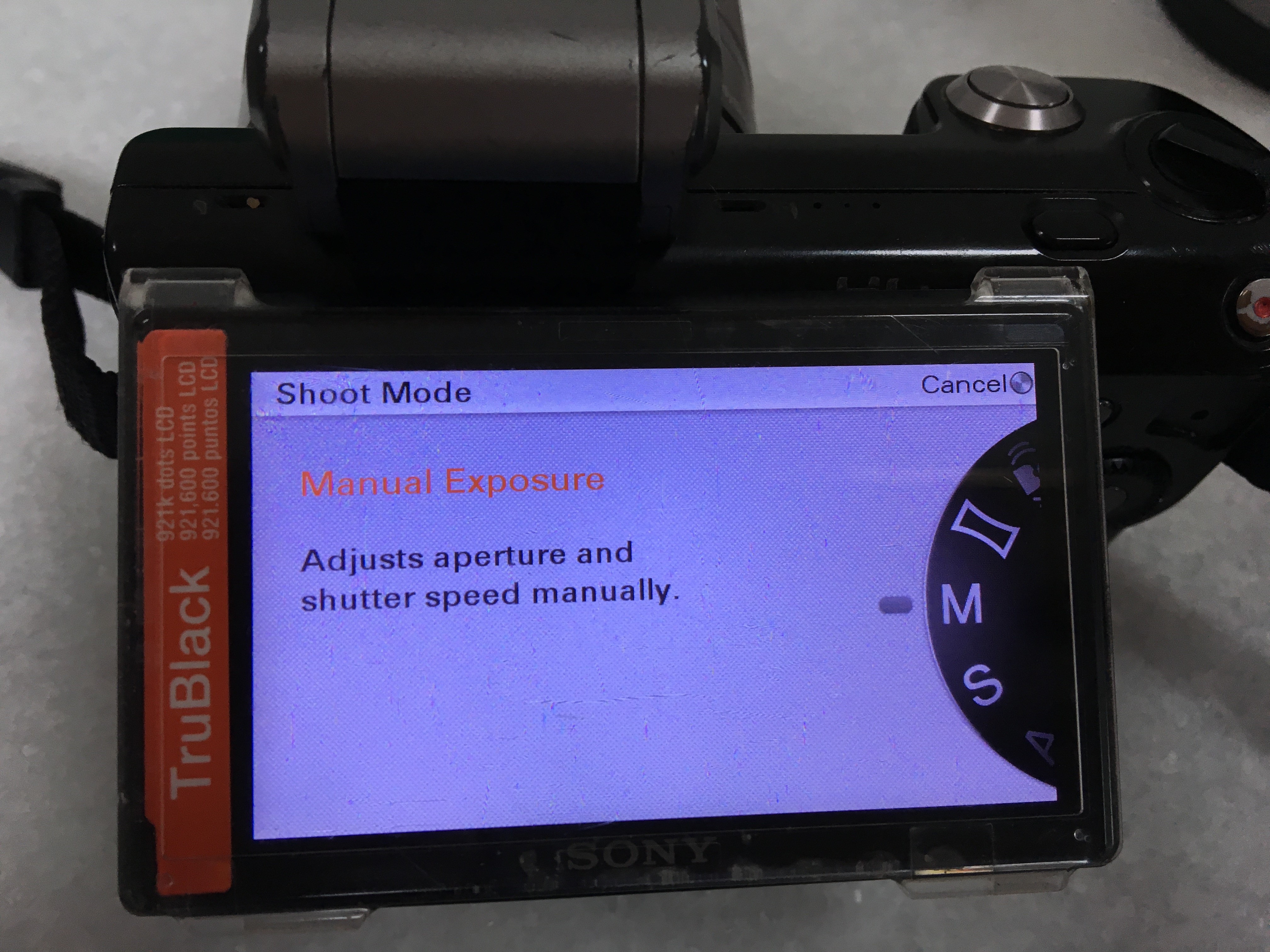 Sony Nex 5 Manual mode