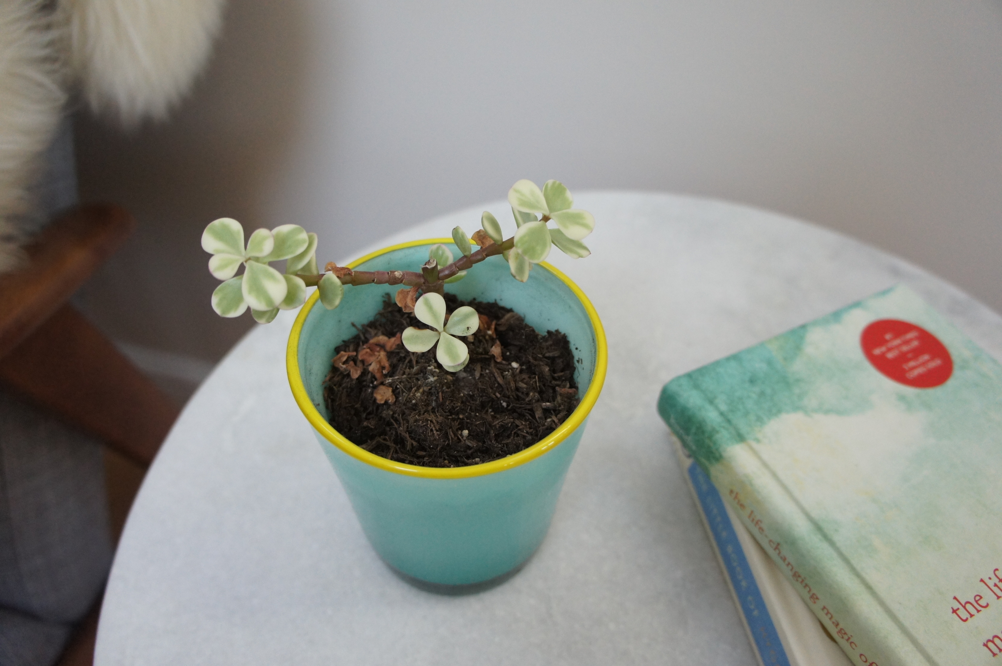 Living room reading nook interior design