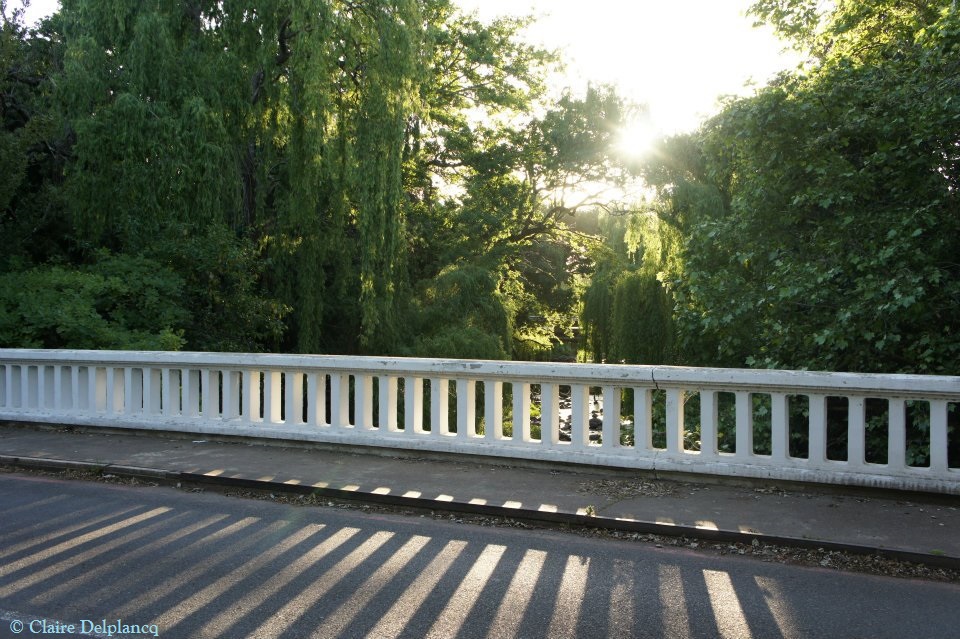 south-africa-sunset-bridge