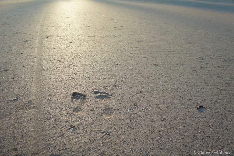 brazil-beach-sand