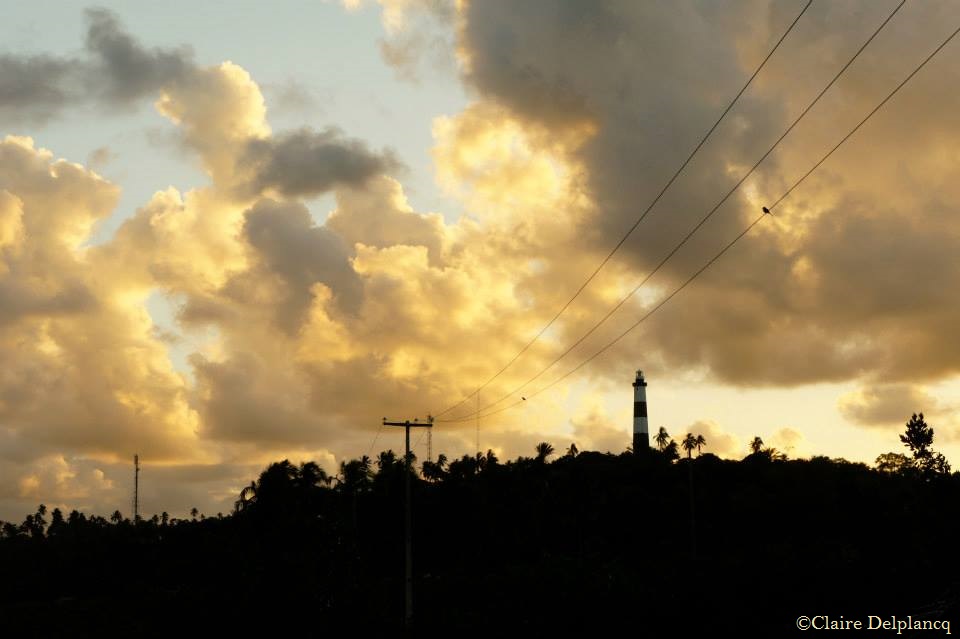 brazil-jungle-sunset