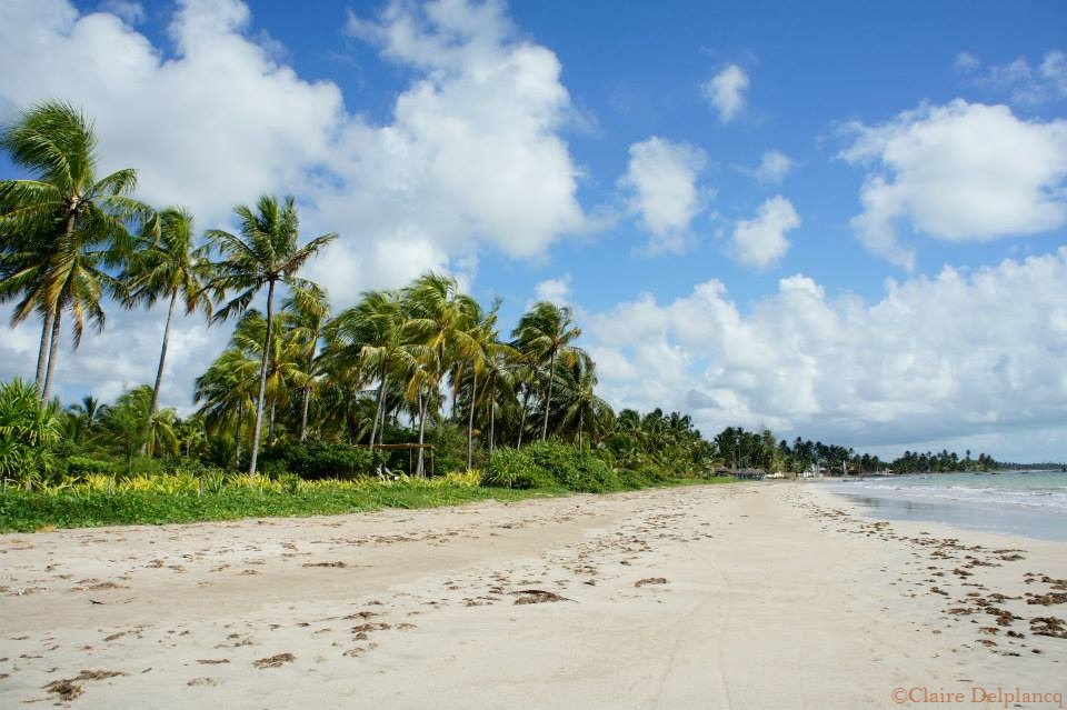brazil-beach-white-sand