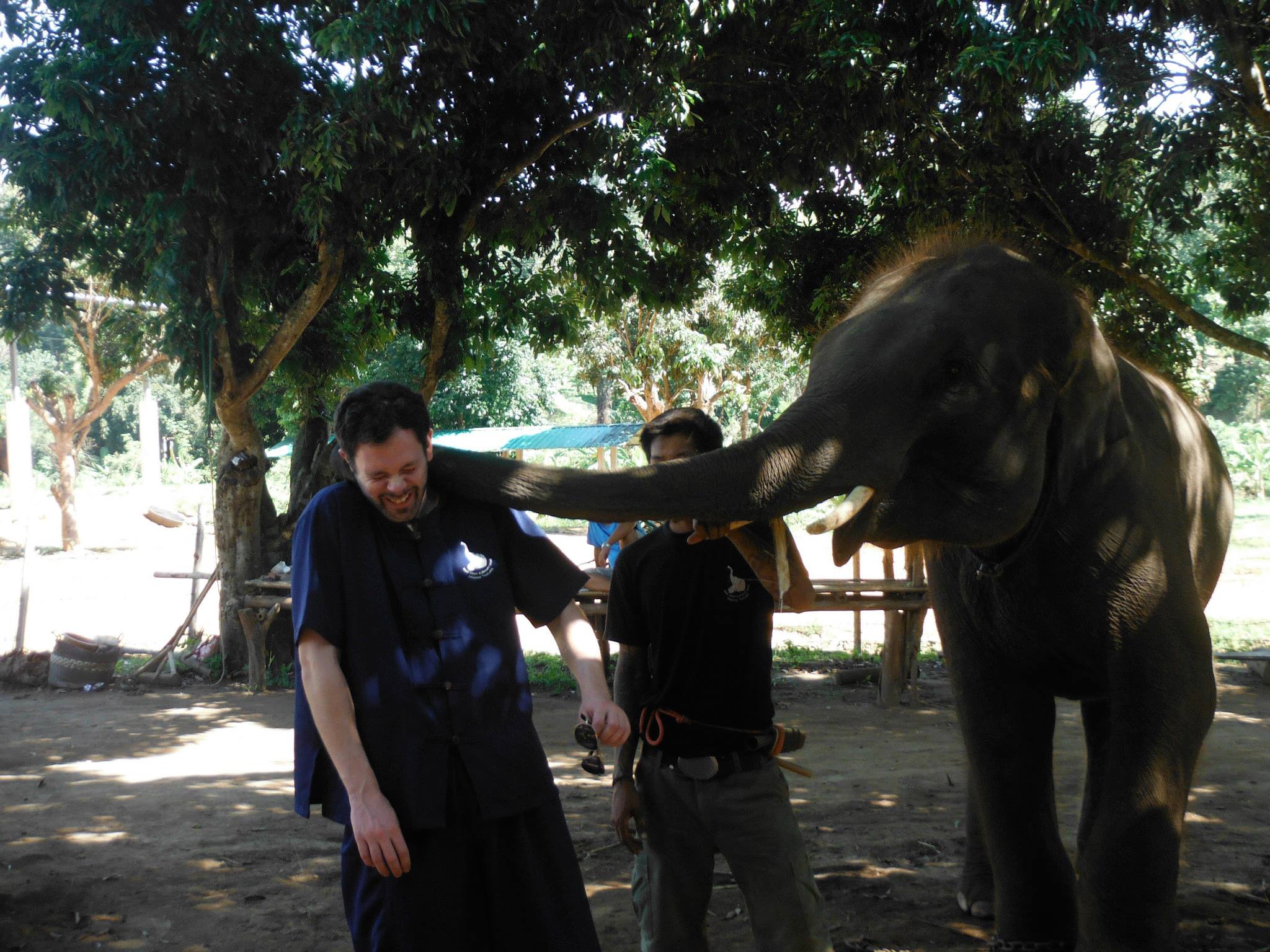 Baan Chang Elephant Park Chiang Mai Thailand