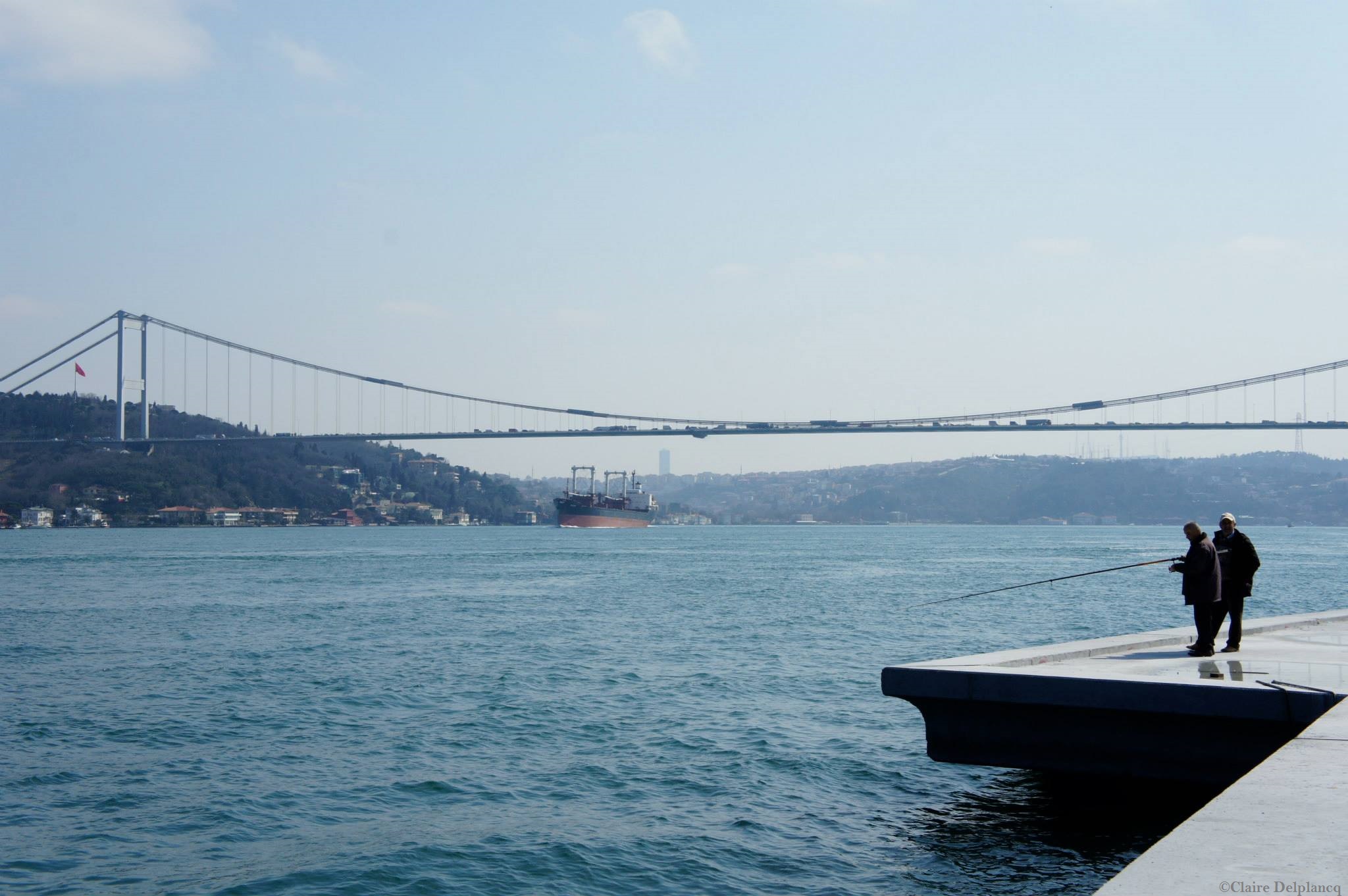 11103239_10153226703995090_1100985068102544208_o