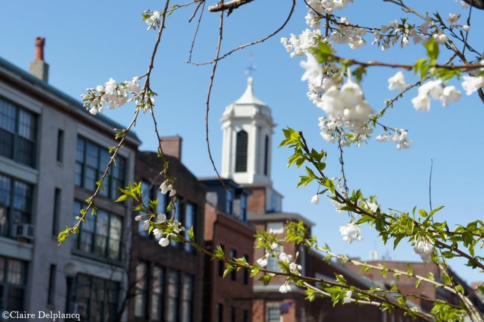 usa-boston-spring