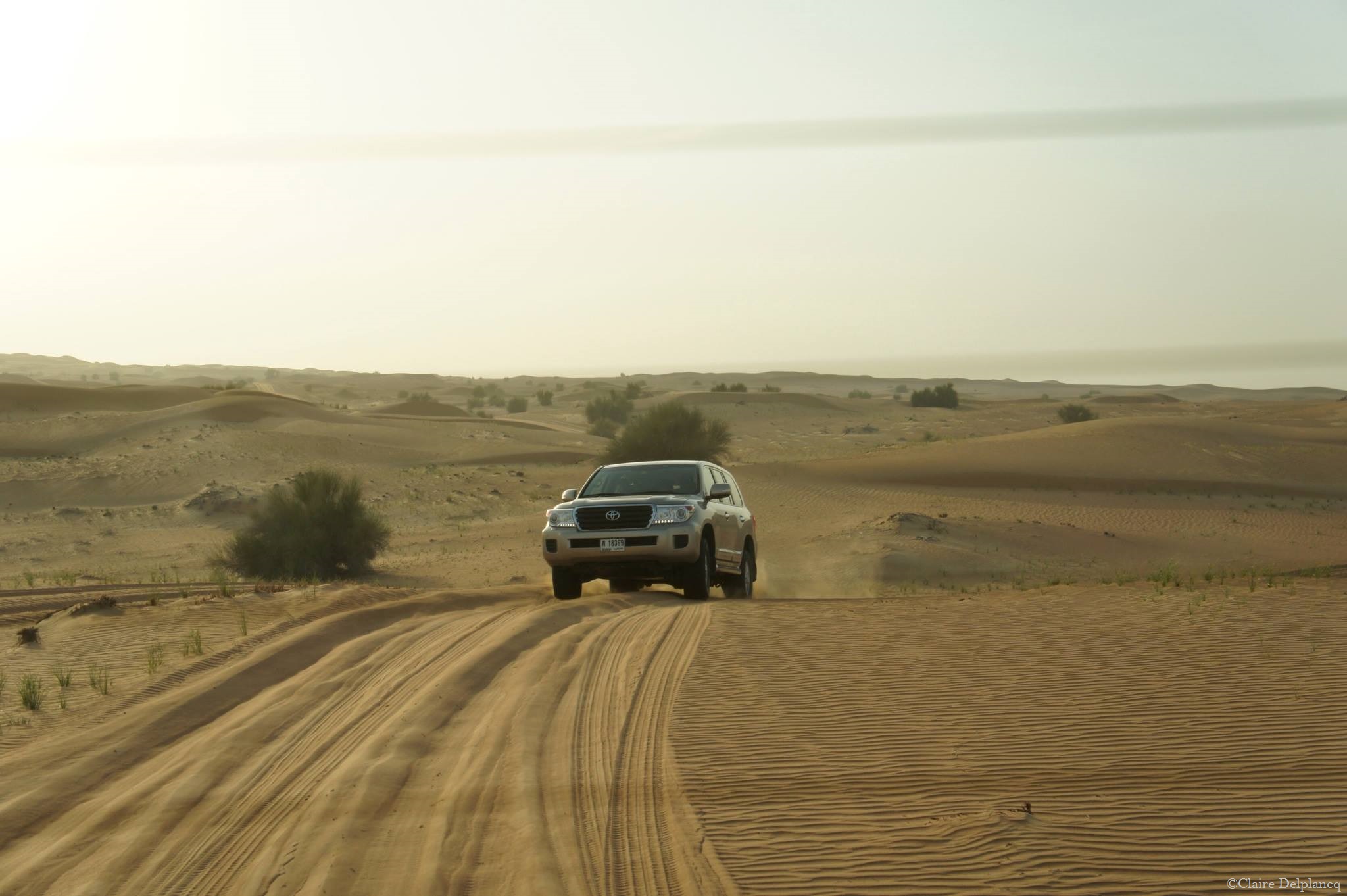 Dubai-dunes-desert-safari