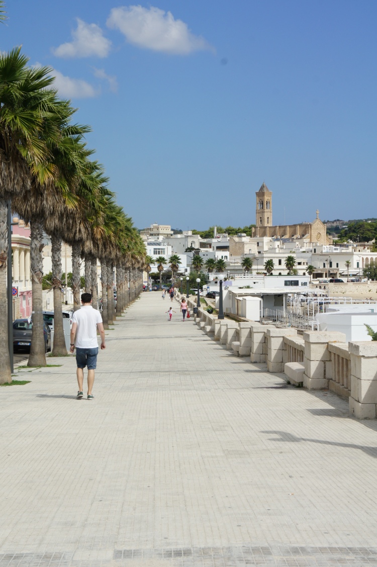 Palm tree seafront in Leuca