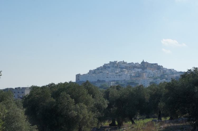 Ostuni at the top of the hill