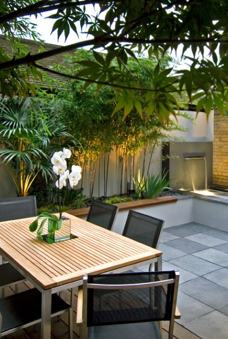Outdoor courtyard and garden inspiration