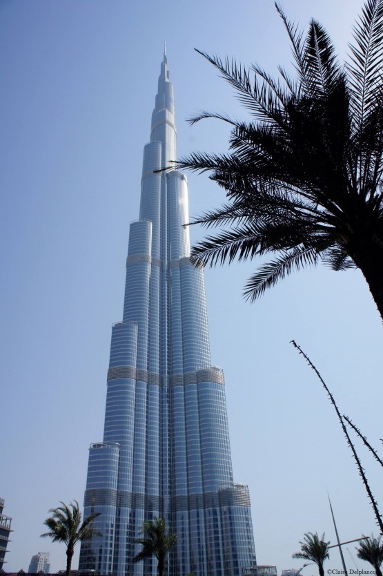 Dubai Burj-Khalifa palm trees