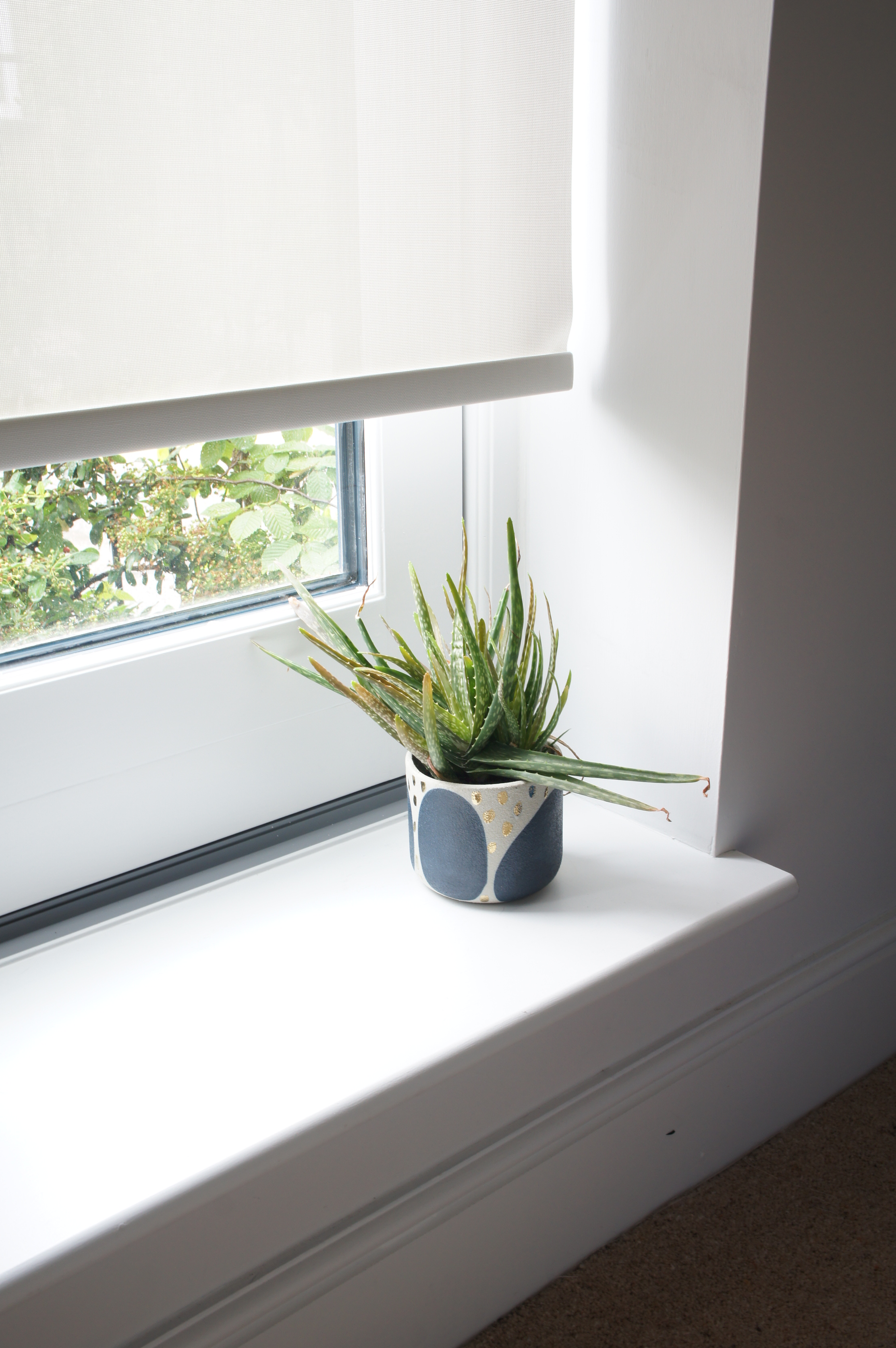 Anthropologie planter and aloe vera plant guest Bedroom interior design