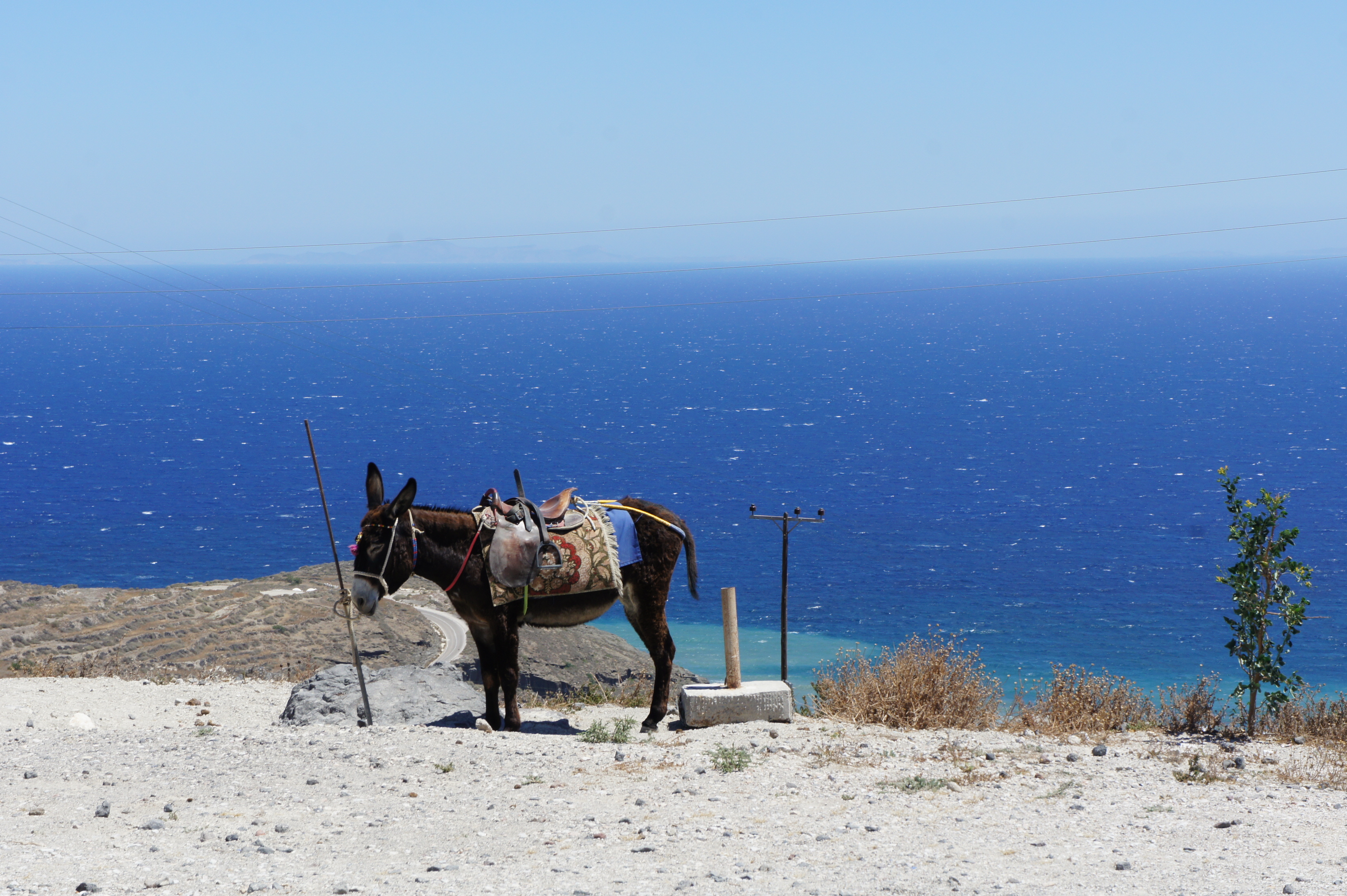 Santorini Oia hike donkey