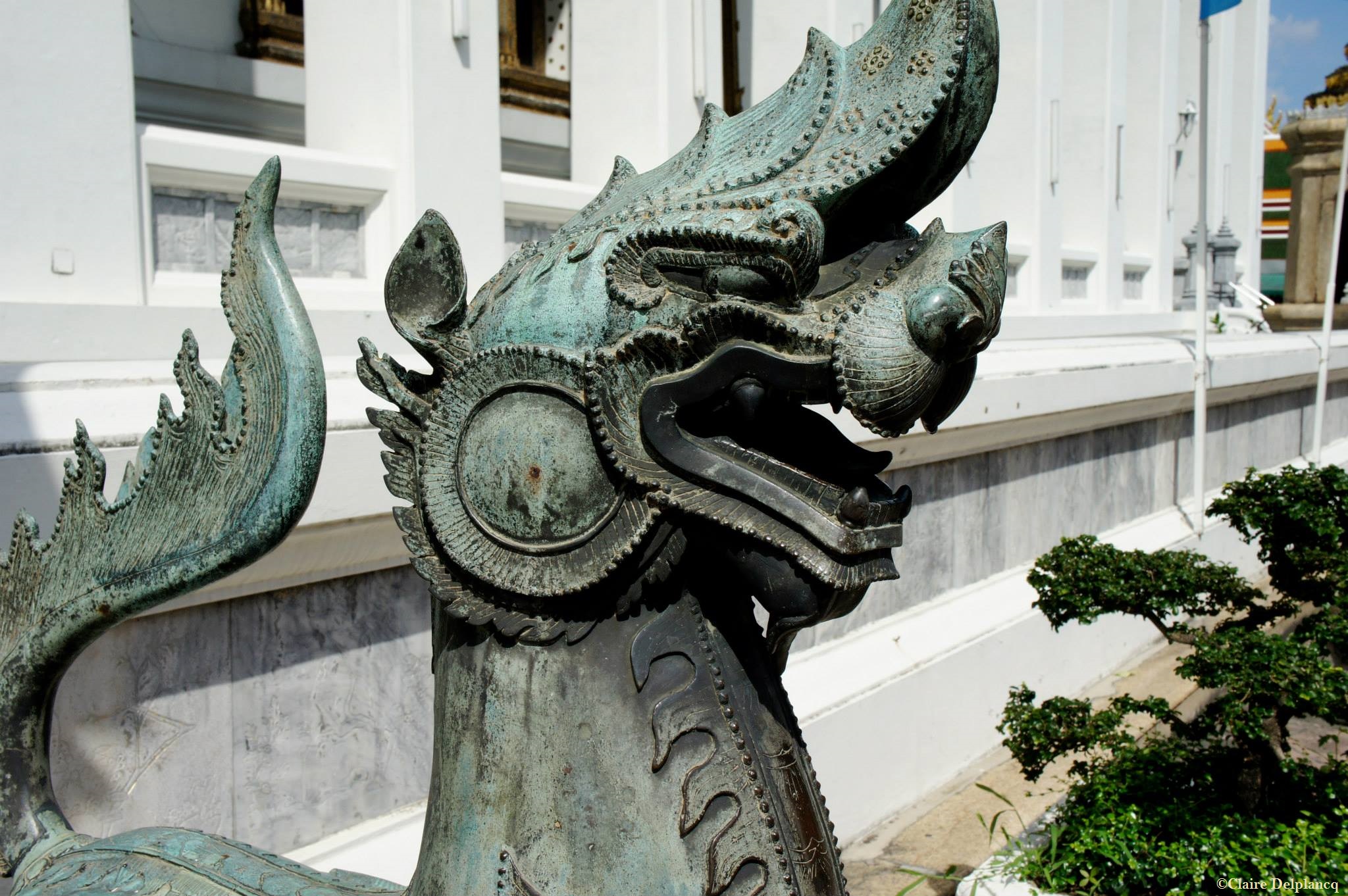 Thailand-Bangkok-Wat-Pho-dragon