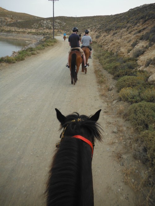 Horse Riding Mykonos