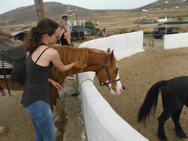 Horse Riding Mykonos