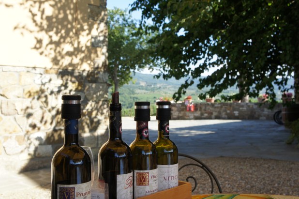 Wine tasting Viticcio