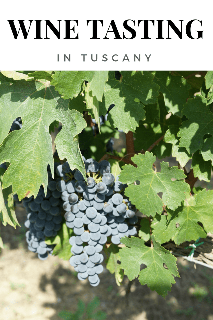 Wine tasting at Viticcio in Tuscany