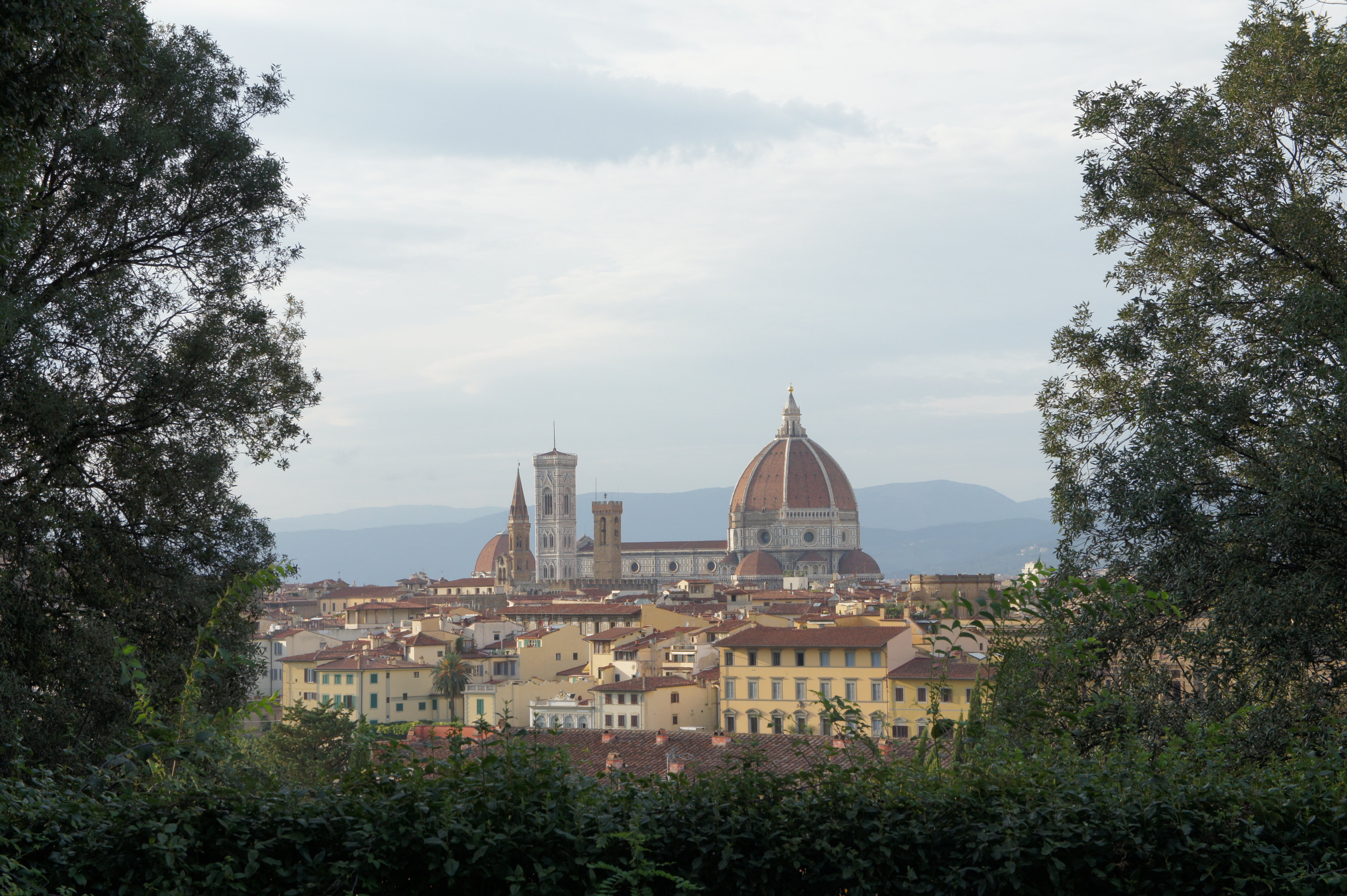 Florence view
