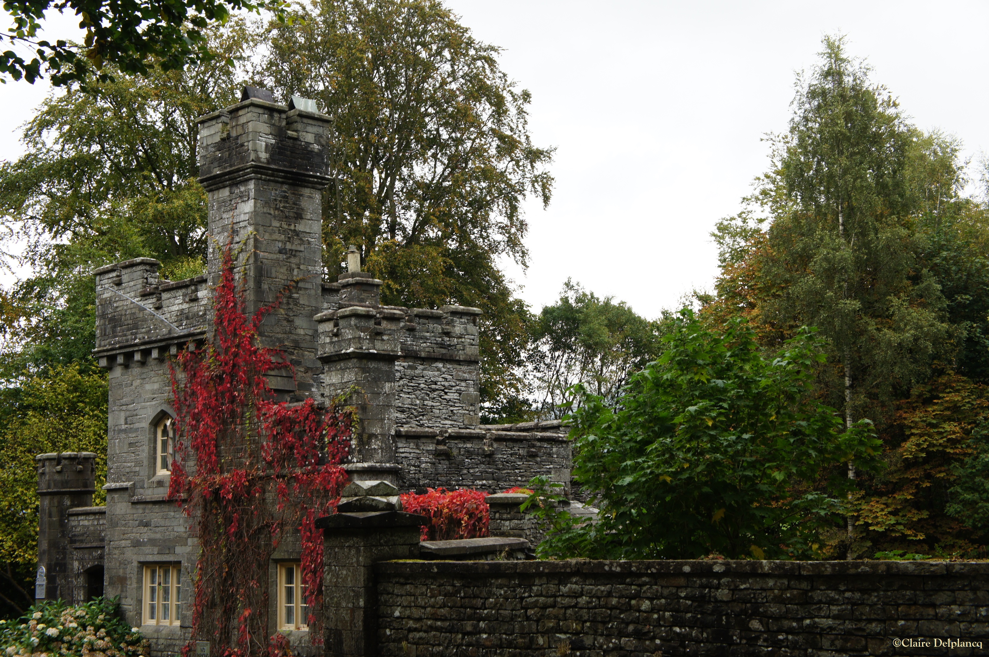 Castle red leaves Lake District