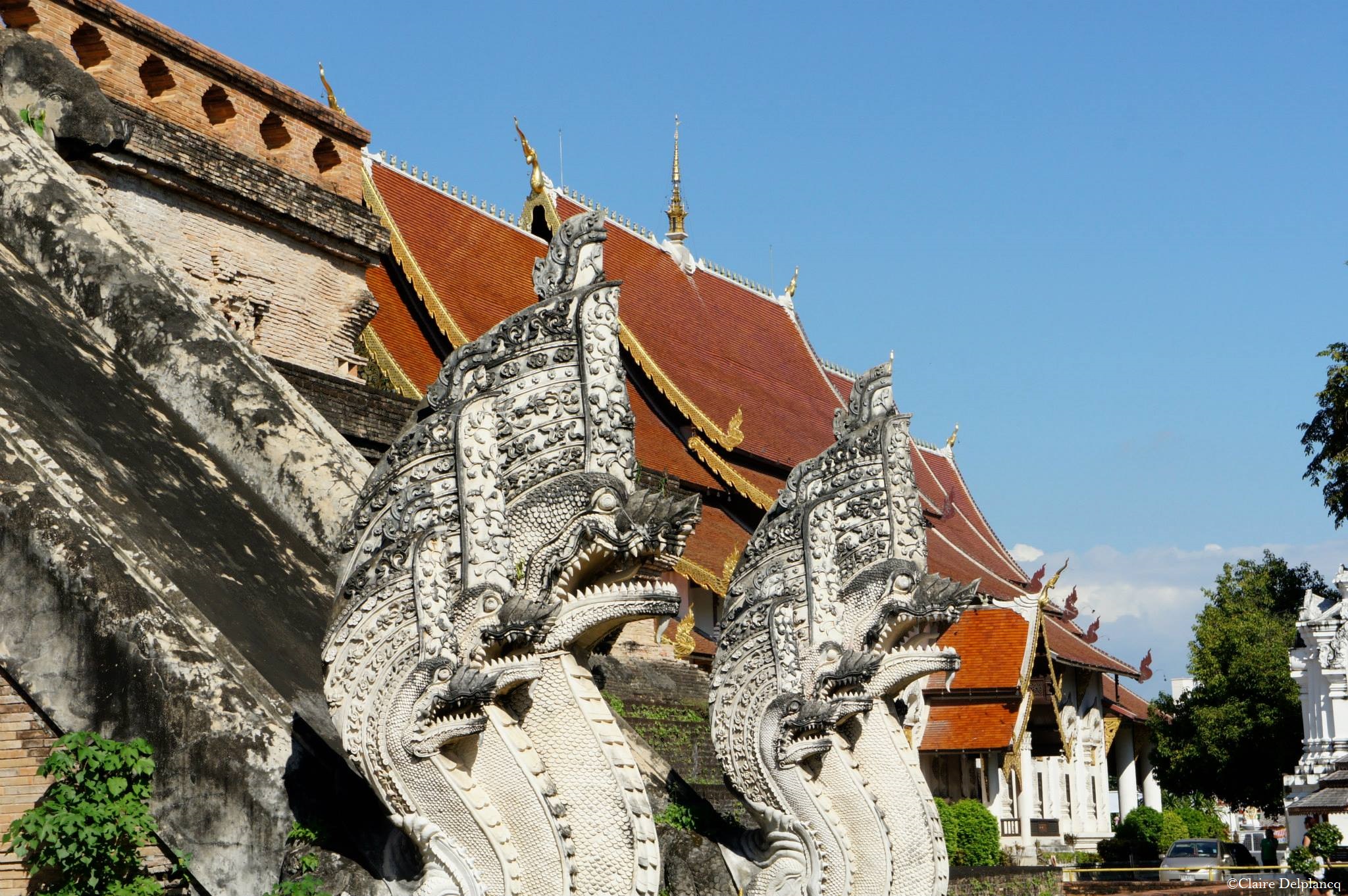 Chiang Mai dragon statues
