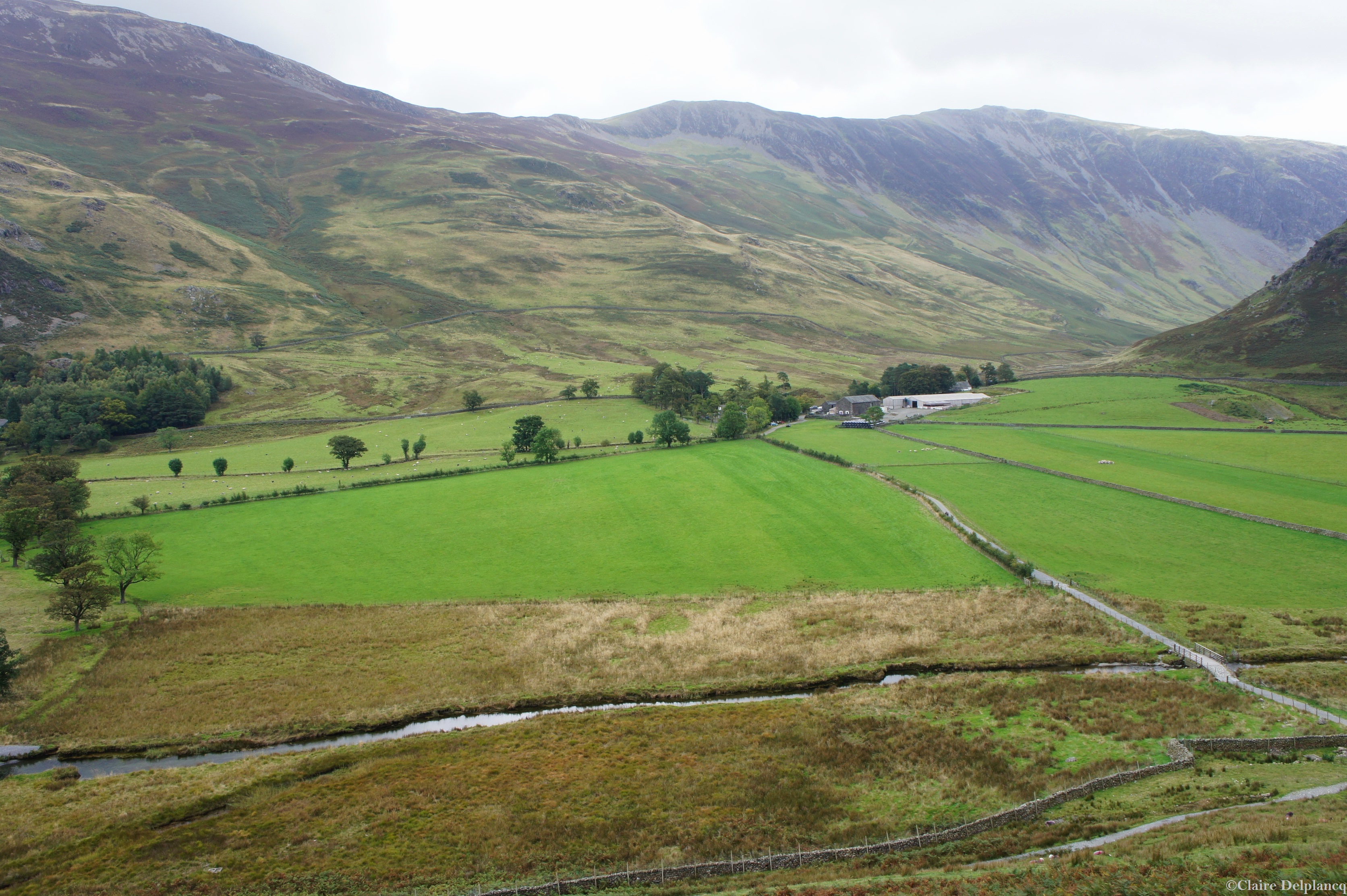 Lake district green valley