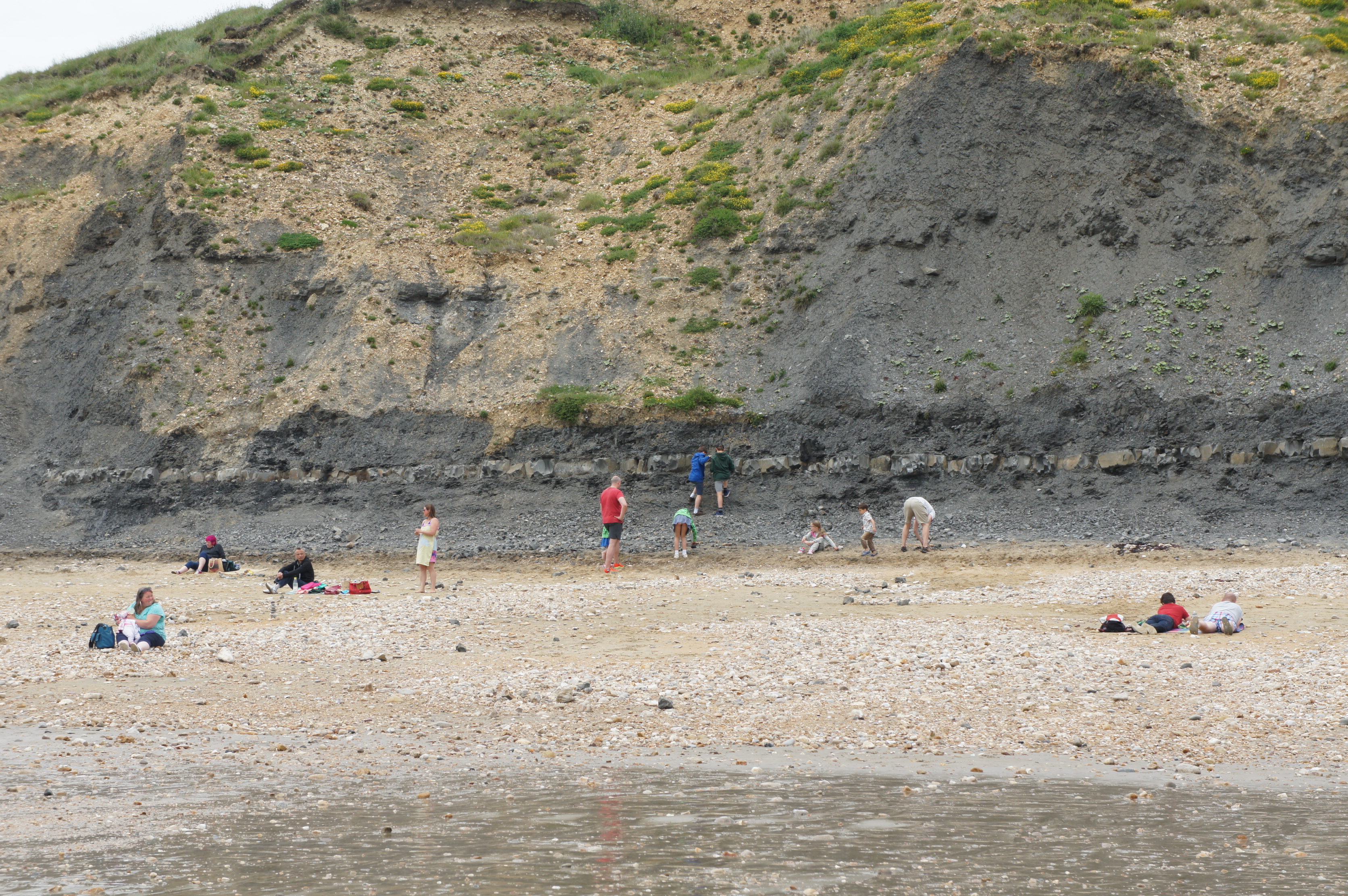 Charmouth Beach