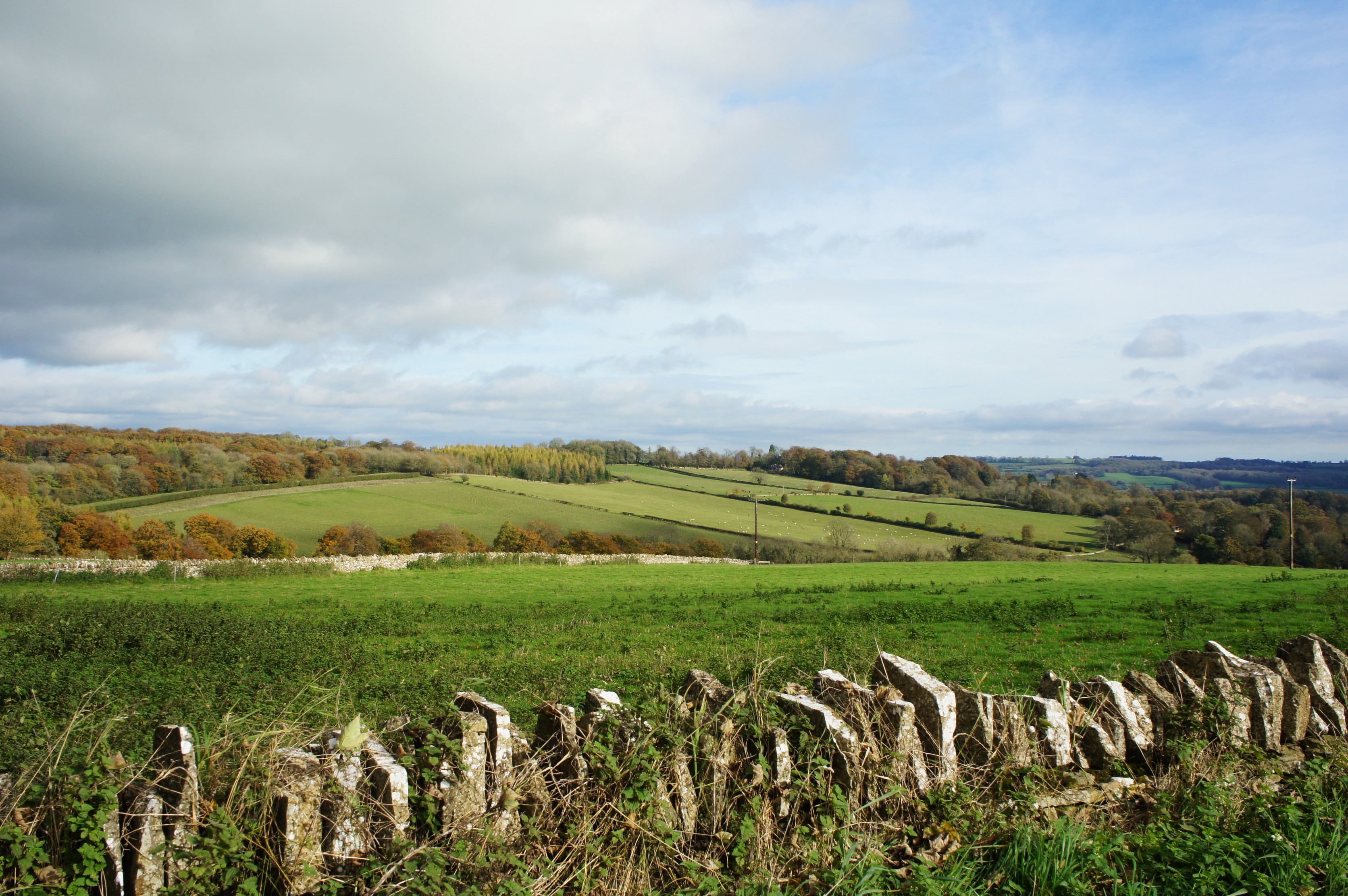 Cotswolds countryside