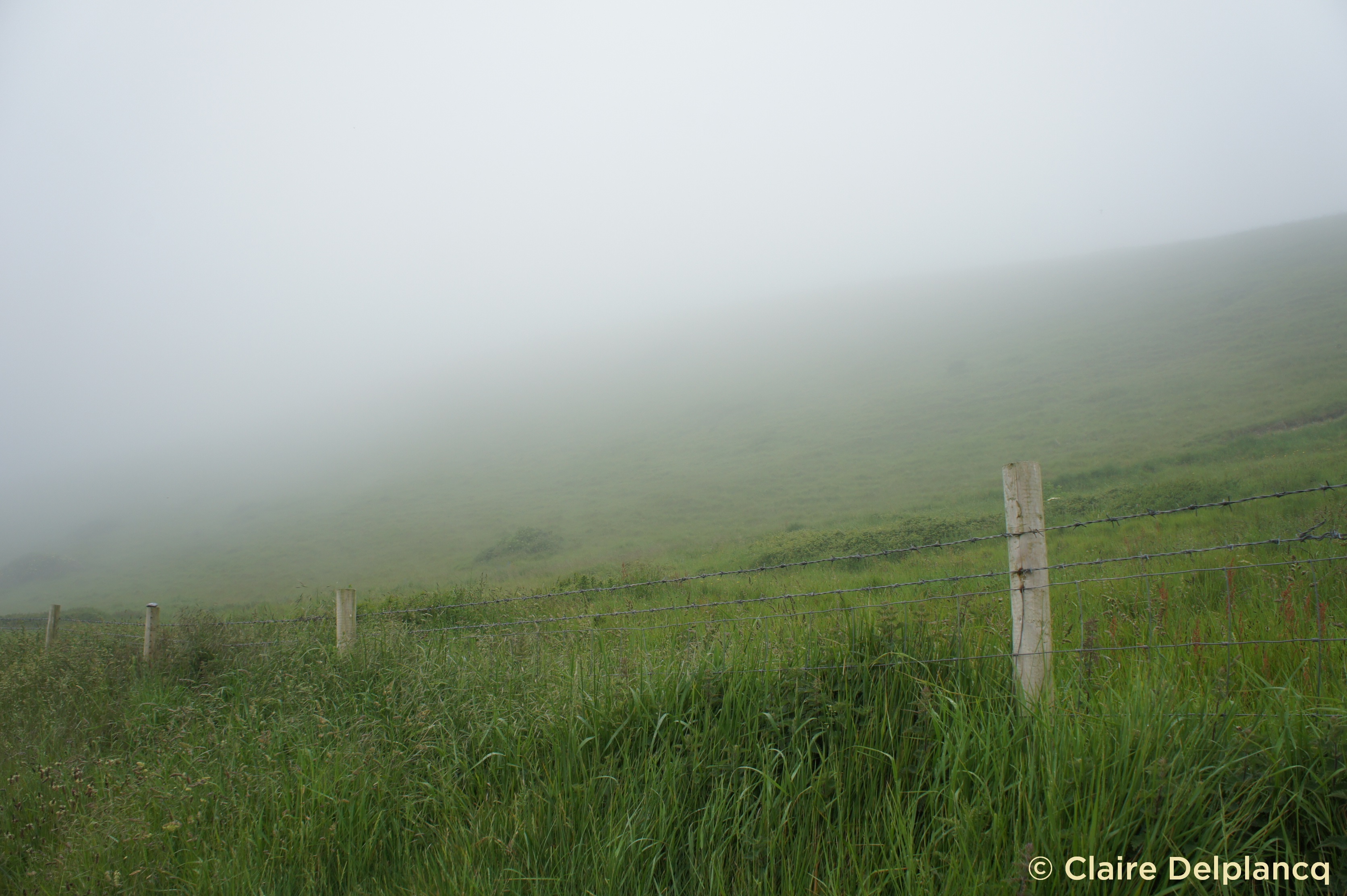 Durdle Door misty day