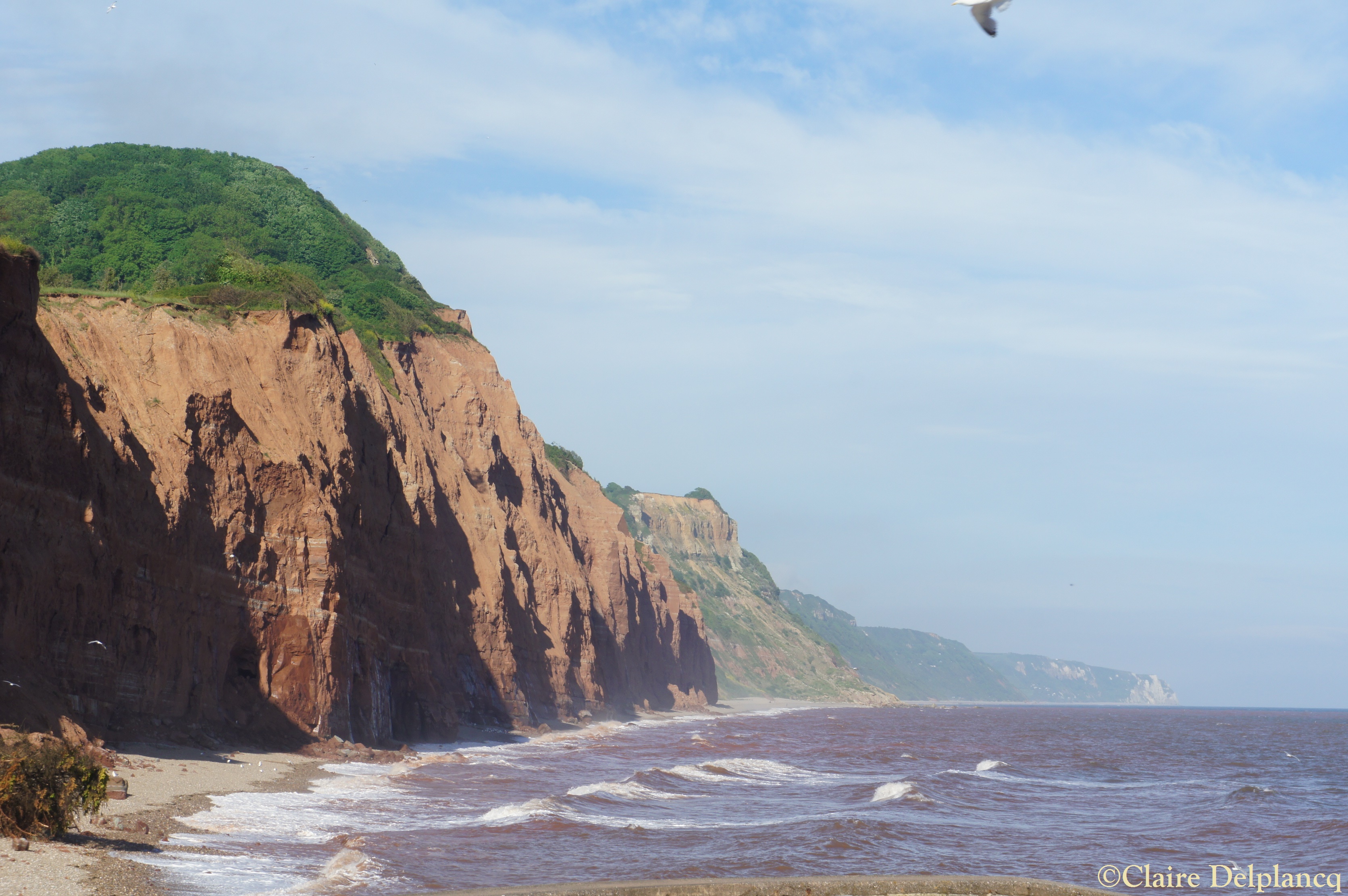 Red cliffs in Sidmouth Devon