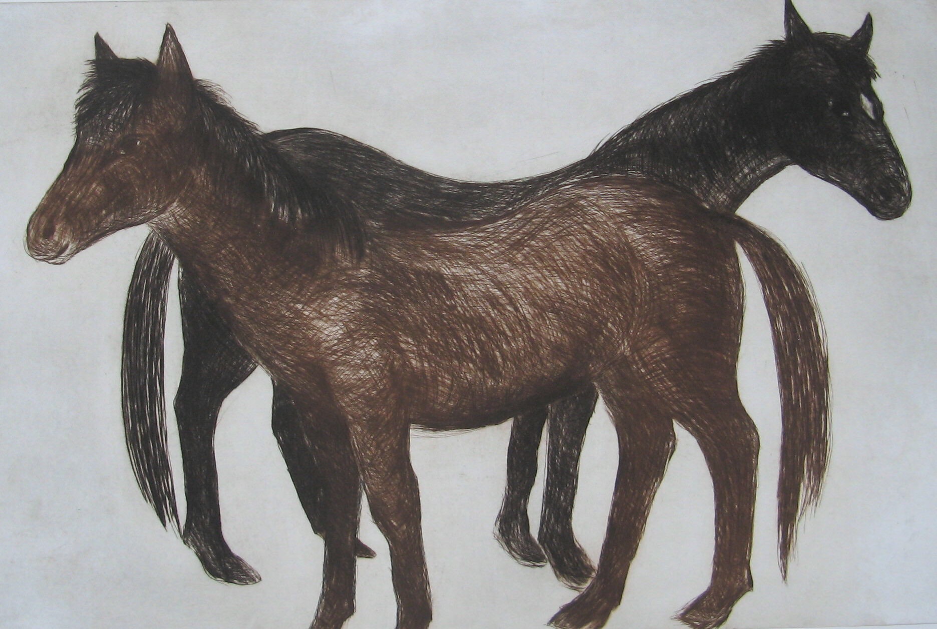 wild-ones-sandra-millar