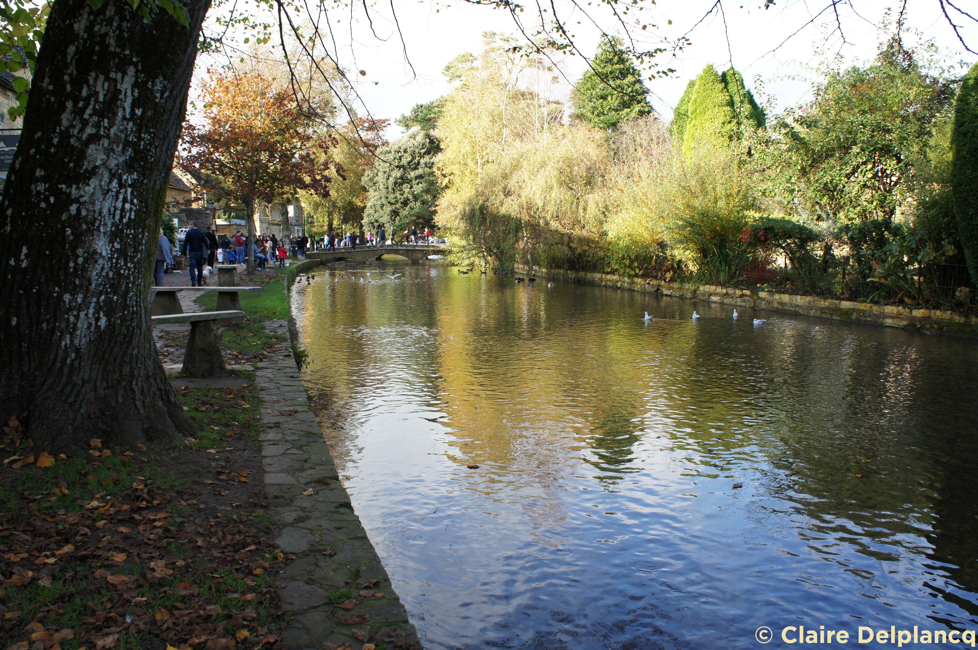 Bourton-on-the-Water river
