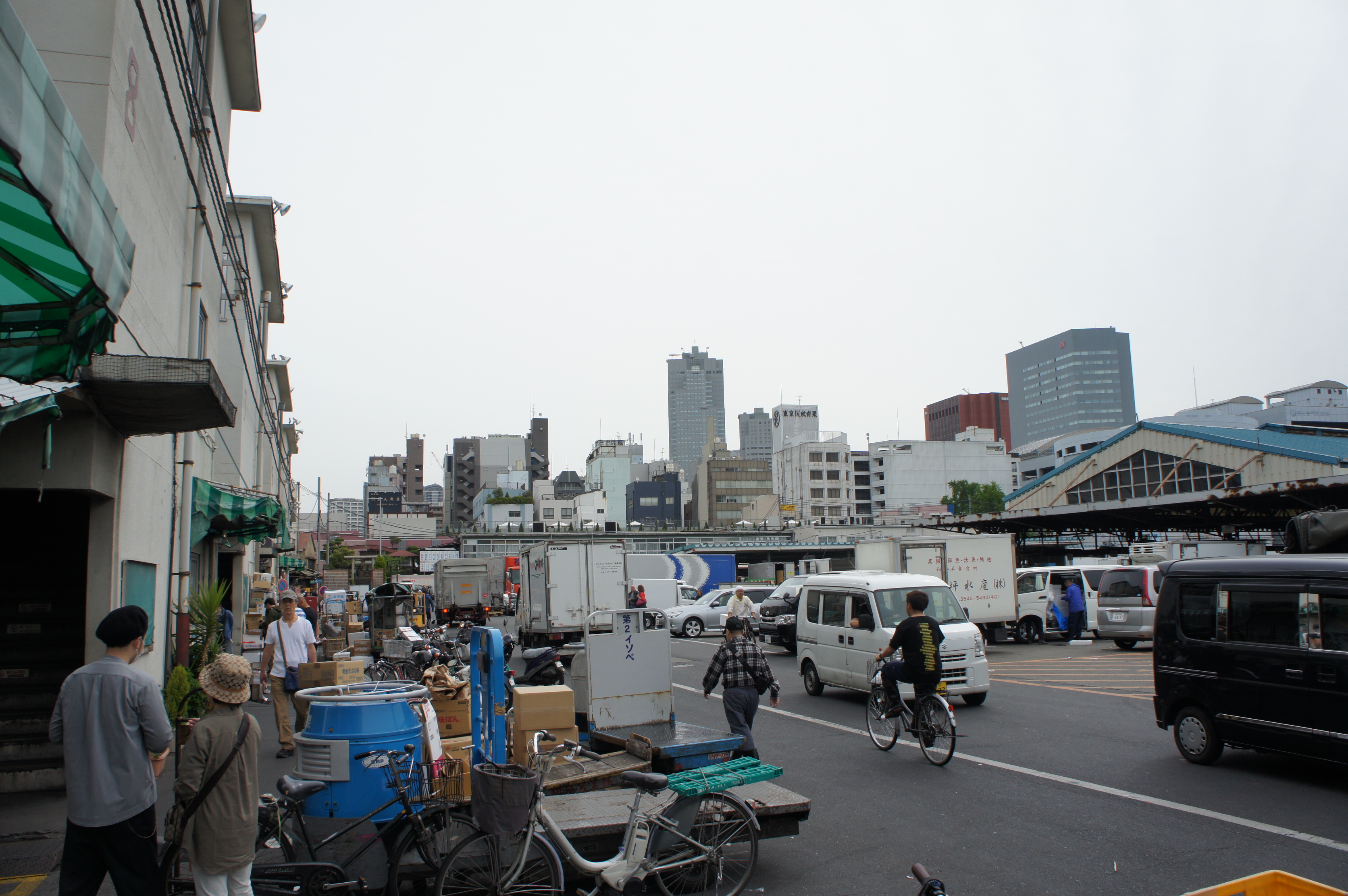 Tsukiji fish market Tokyo