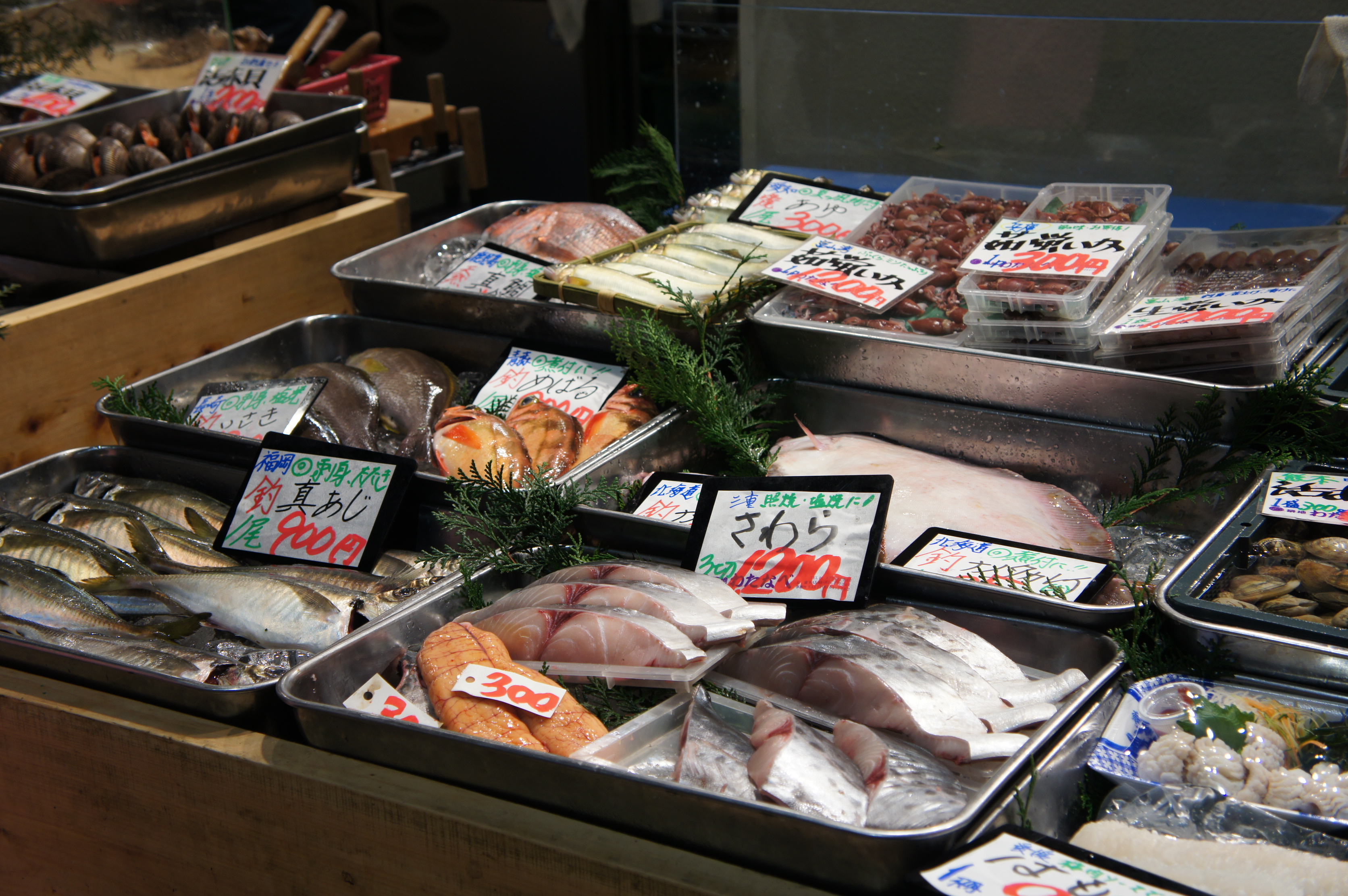 Tsukiji fish market Tokyo