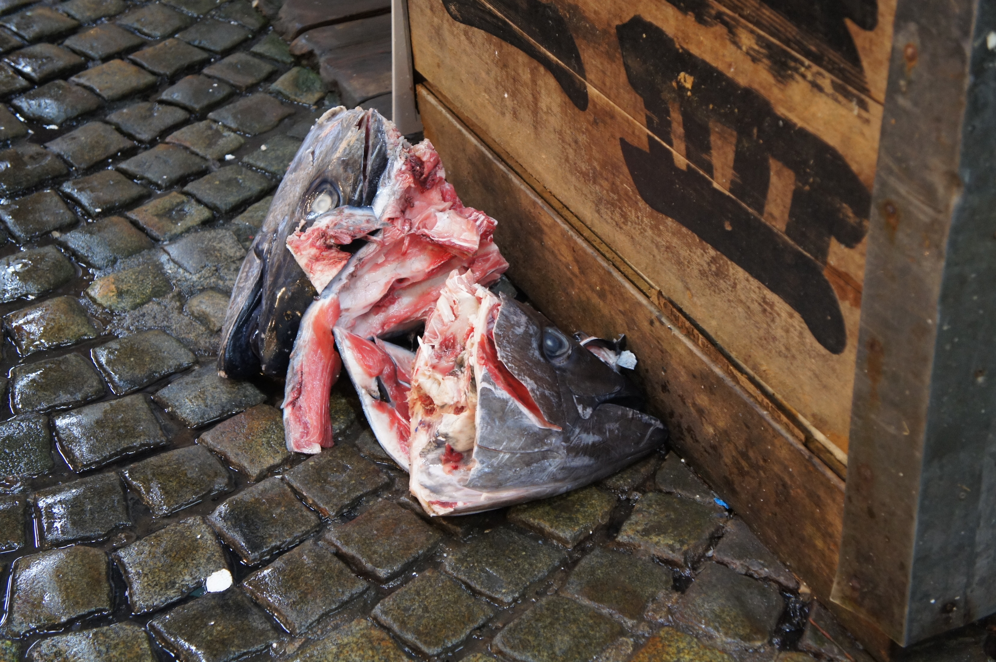 Tsukiji fish market Tokyo