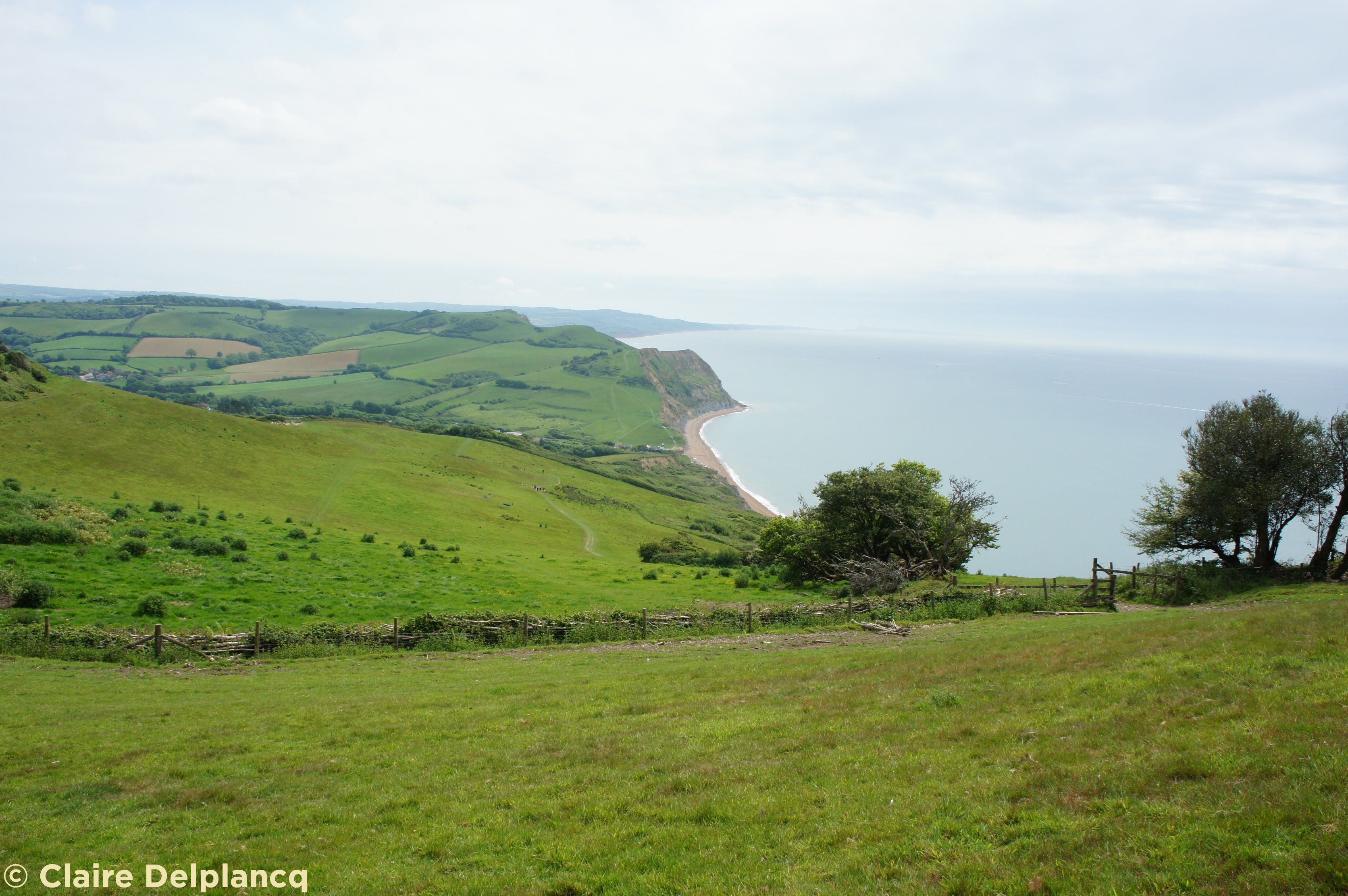 Golden Cap Jurassic Coast