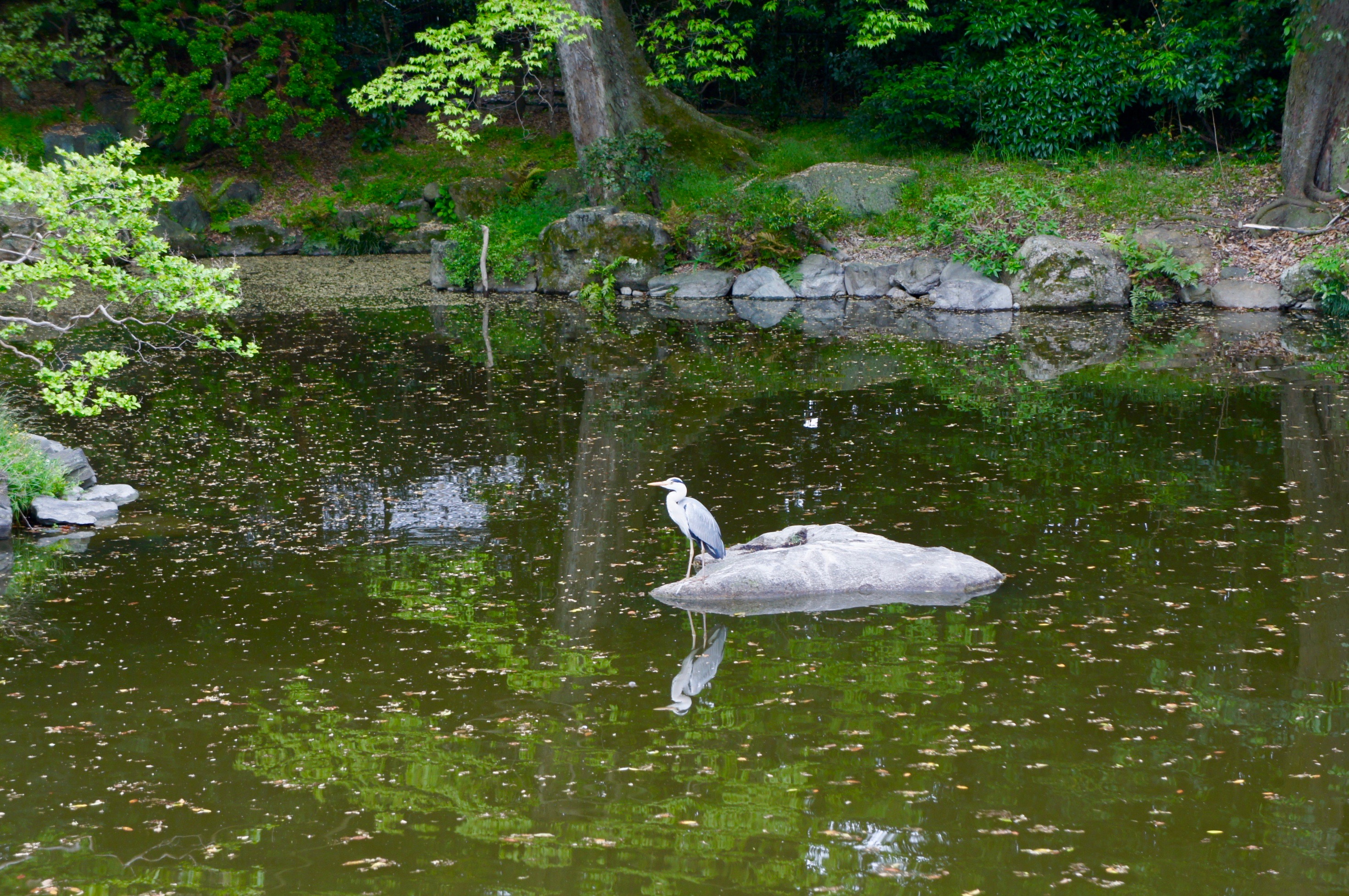 Imperial Palace park