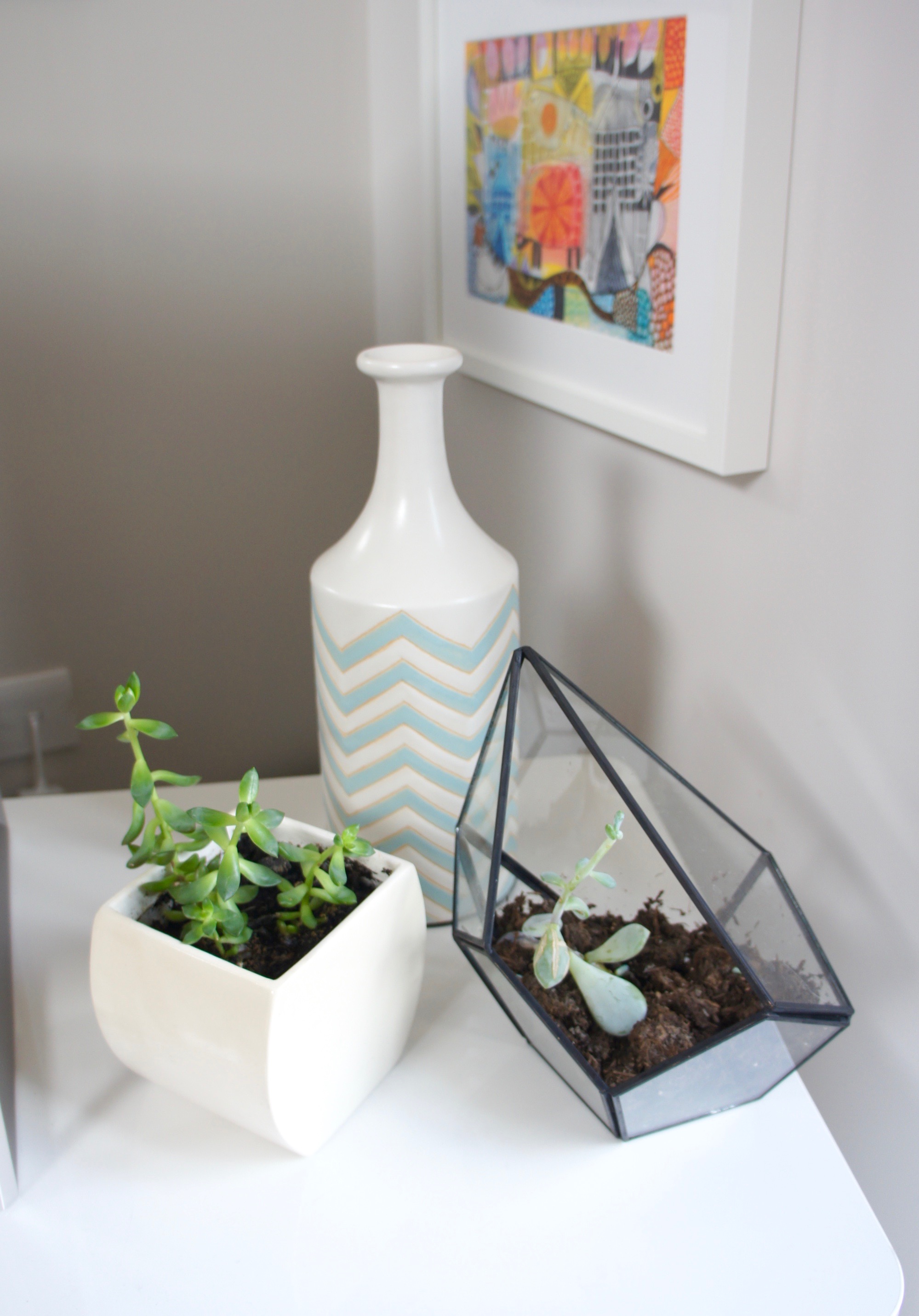 Succulents in living room and Oliver Bonas terrarium
