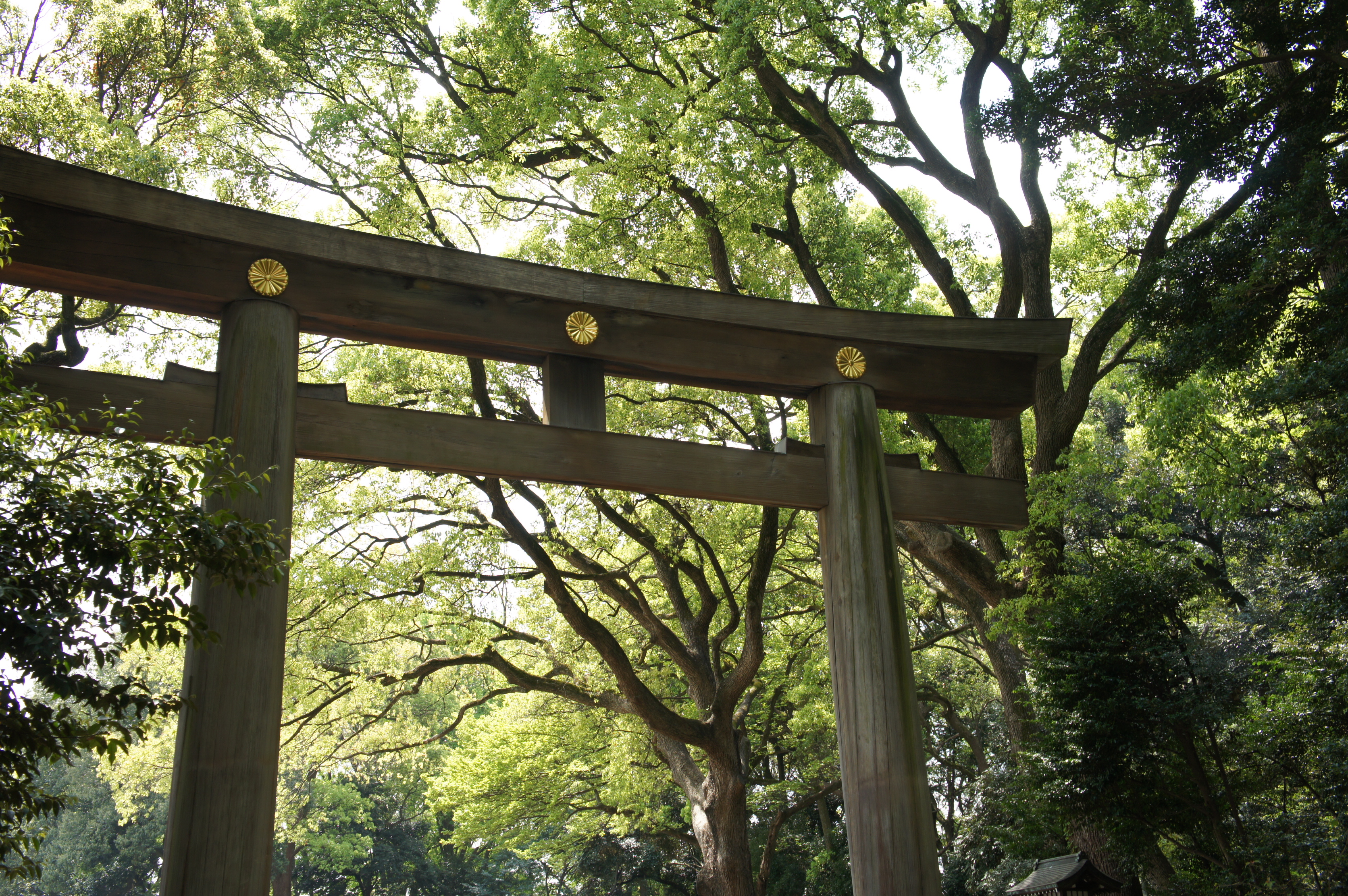 Meiju Jingu
